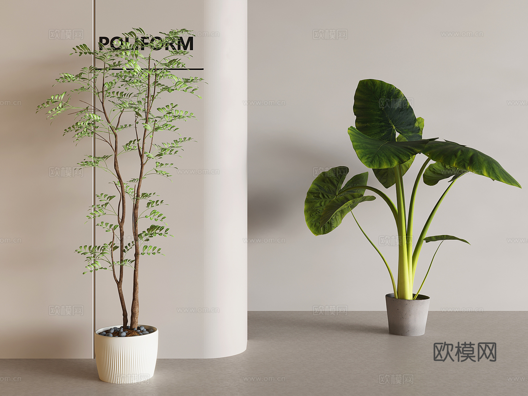 现代植物绿植 绿植盆栽3d模型