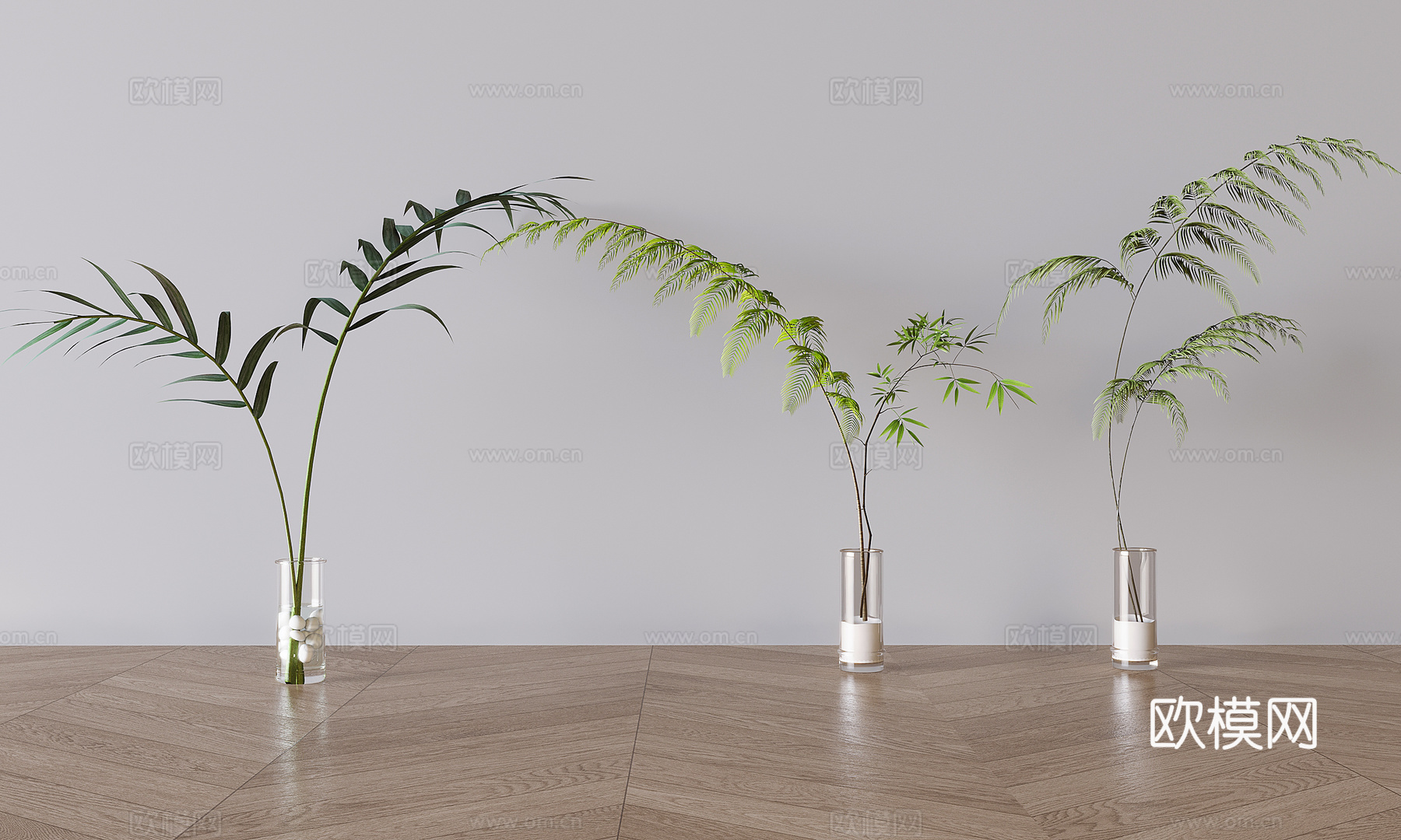 水生植物 水培绿植3d模型