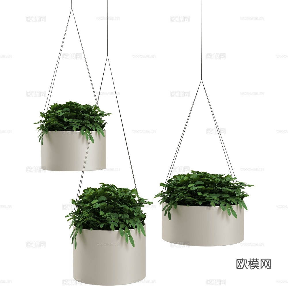 现代吊篮植物 绿植 植物盆栽3d模型