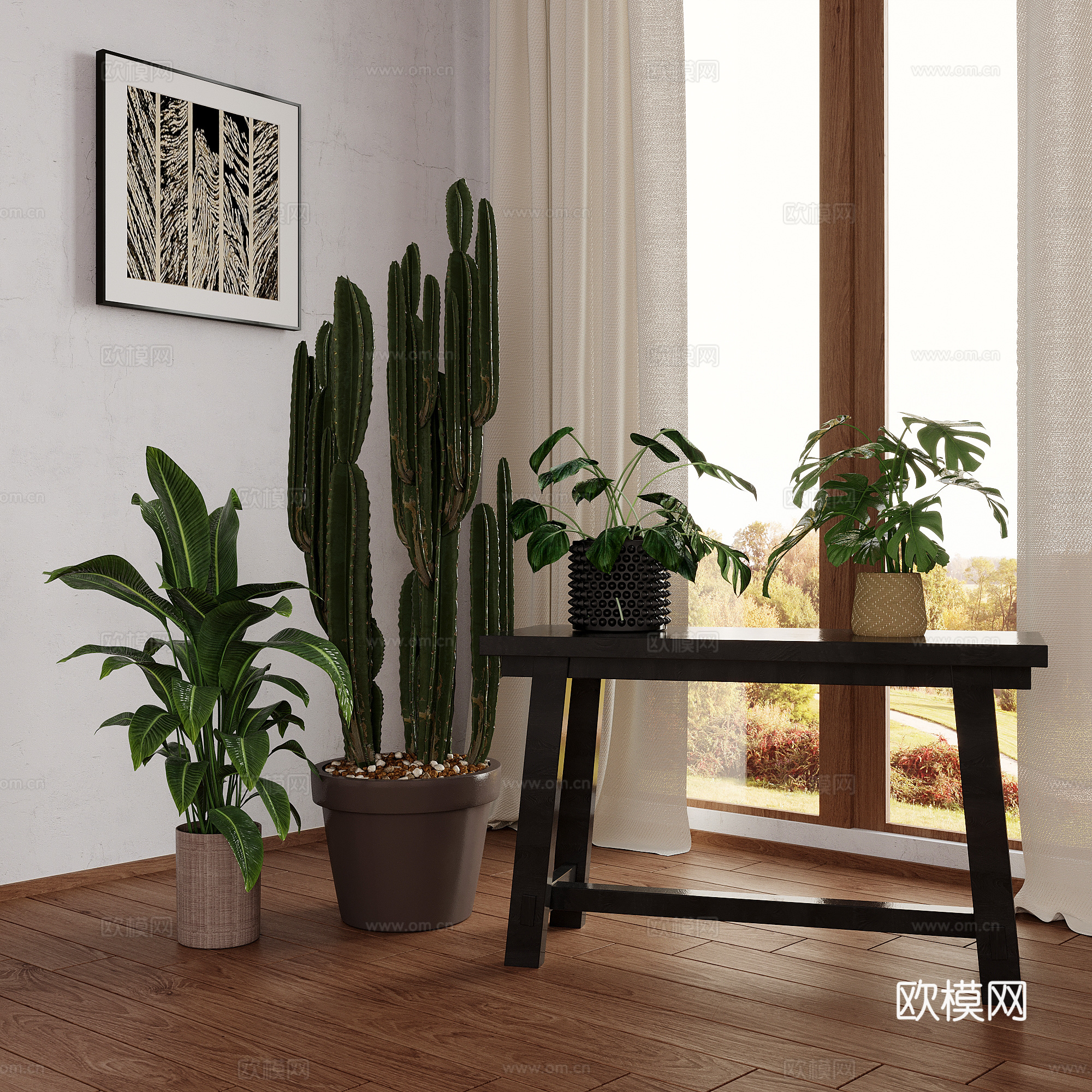 龟背竹 盆栽盆景 仙人掌su模型下载（渲染图2）