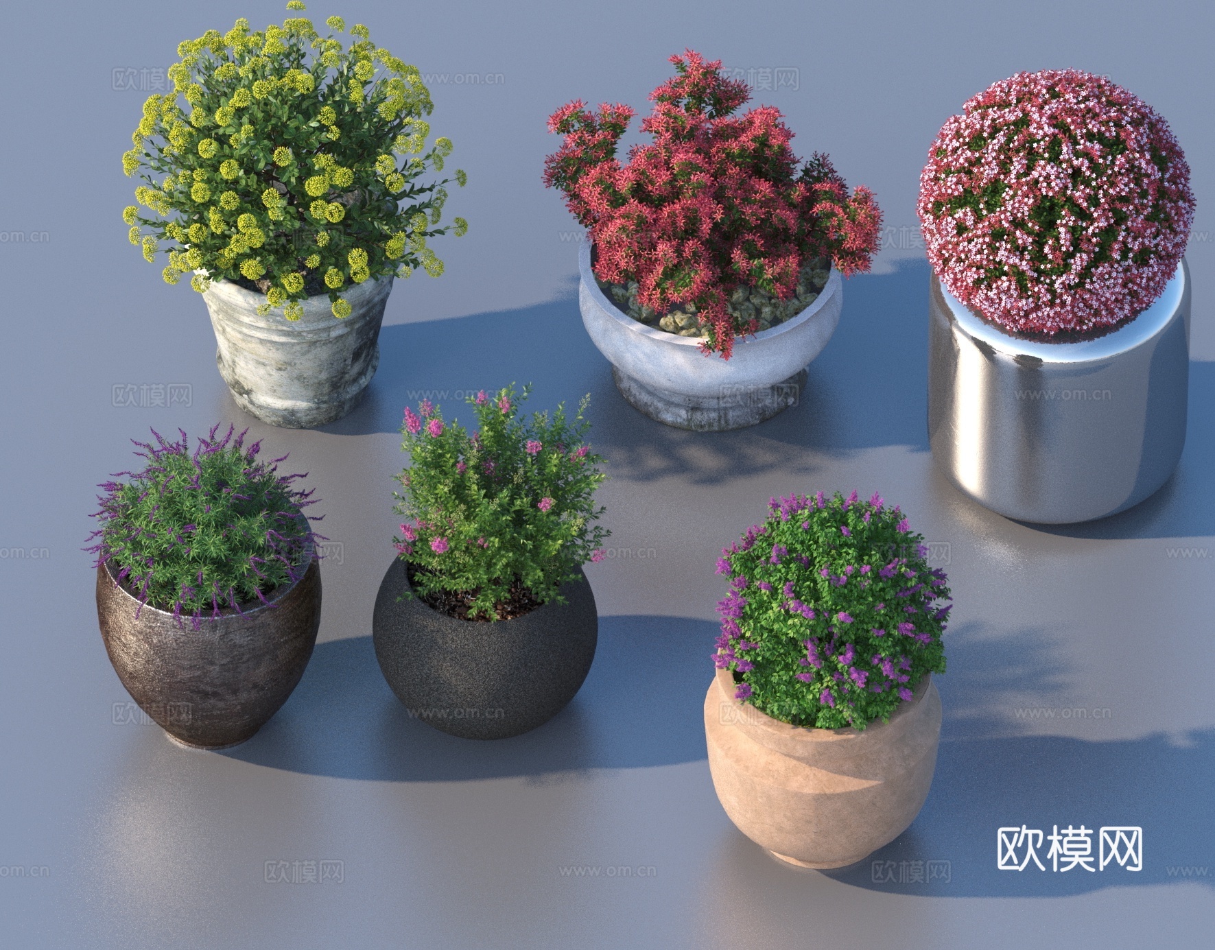 花盆 盆栽 绿植 植物3d模型