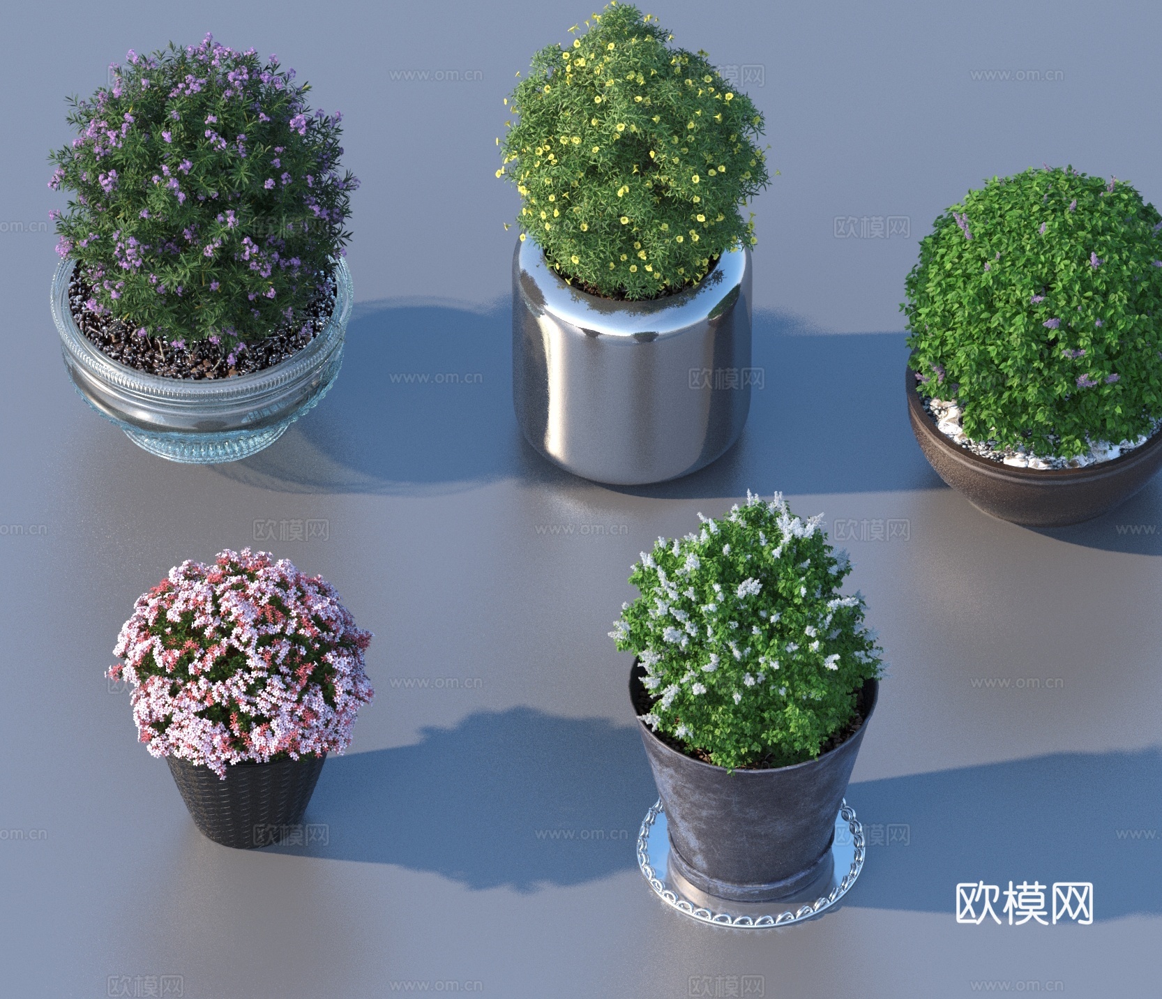 花盆 盆栽 绿植 植物3d模型