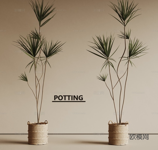 Idea 植物盆栽 绿植 千年木3d模型下载