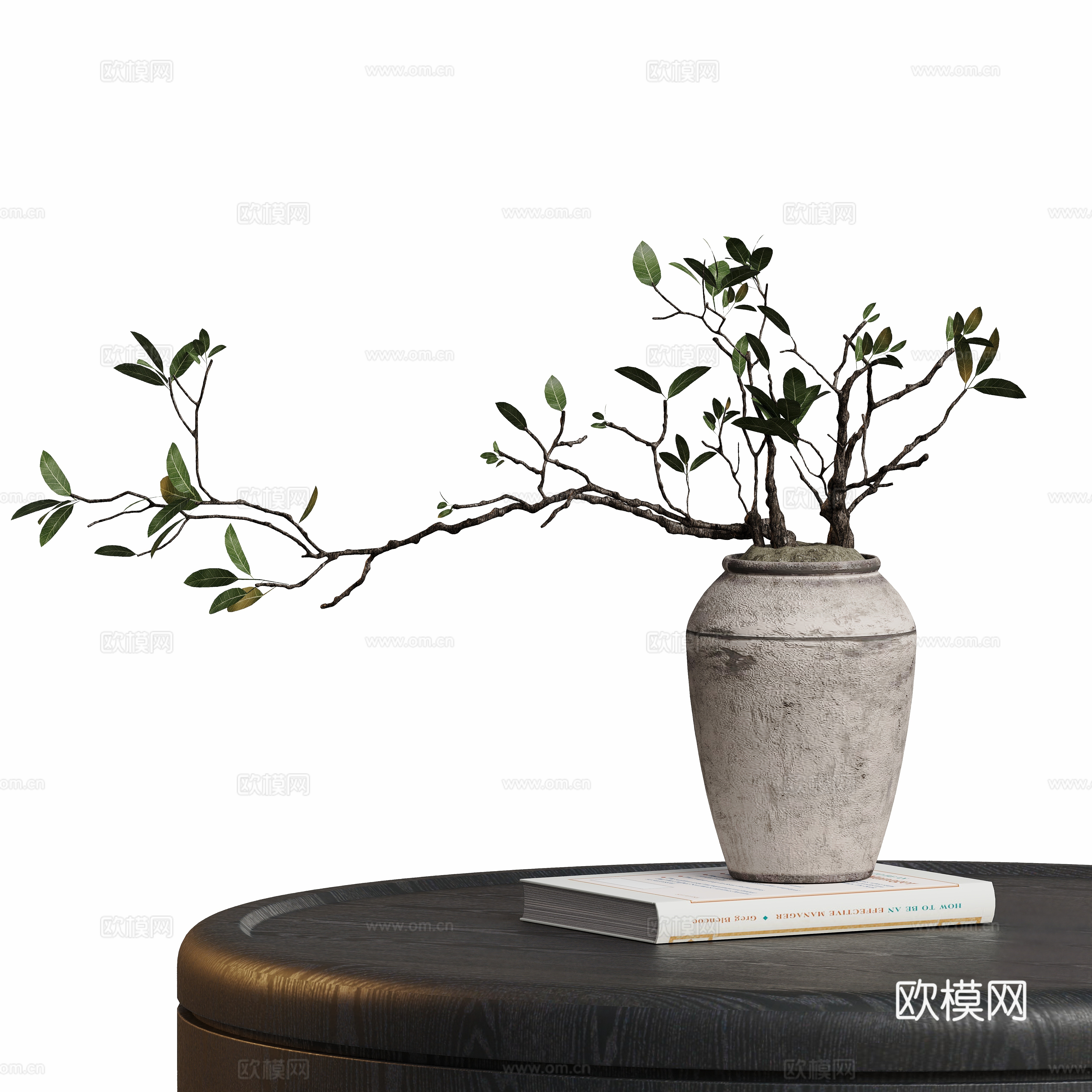 现代盆栽 植物摆件su模型