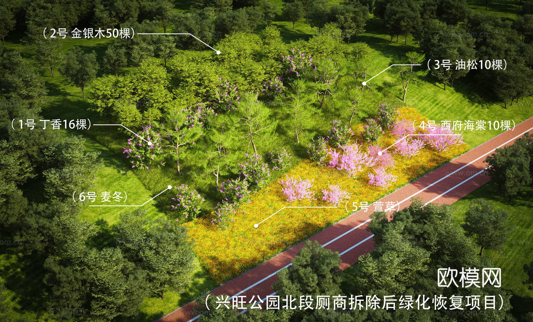 公园景观 园林景观 绿化植被3d模型