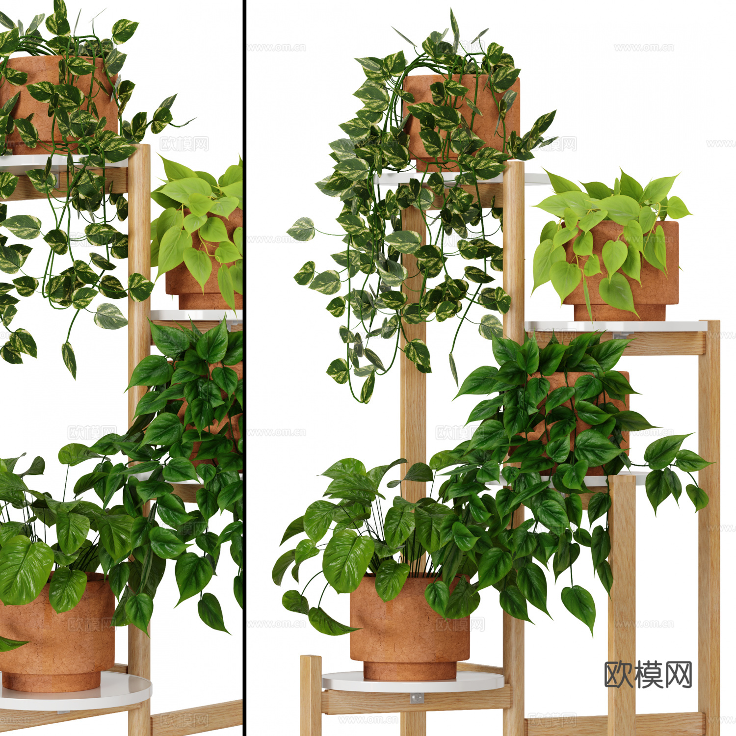 室内植物 盆栽 花架3d模型