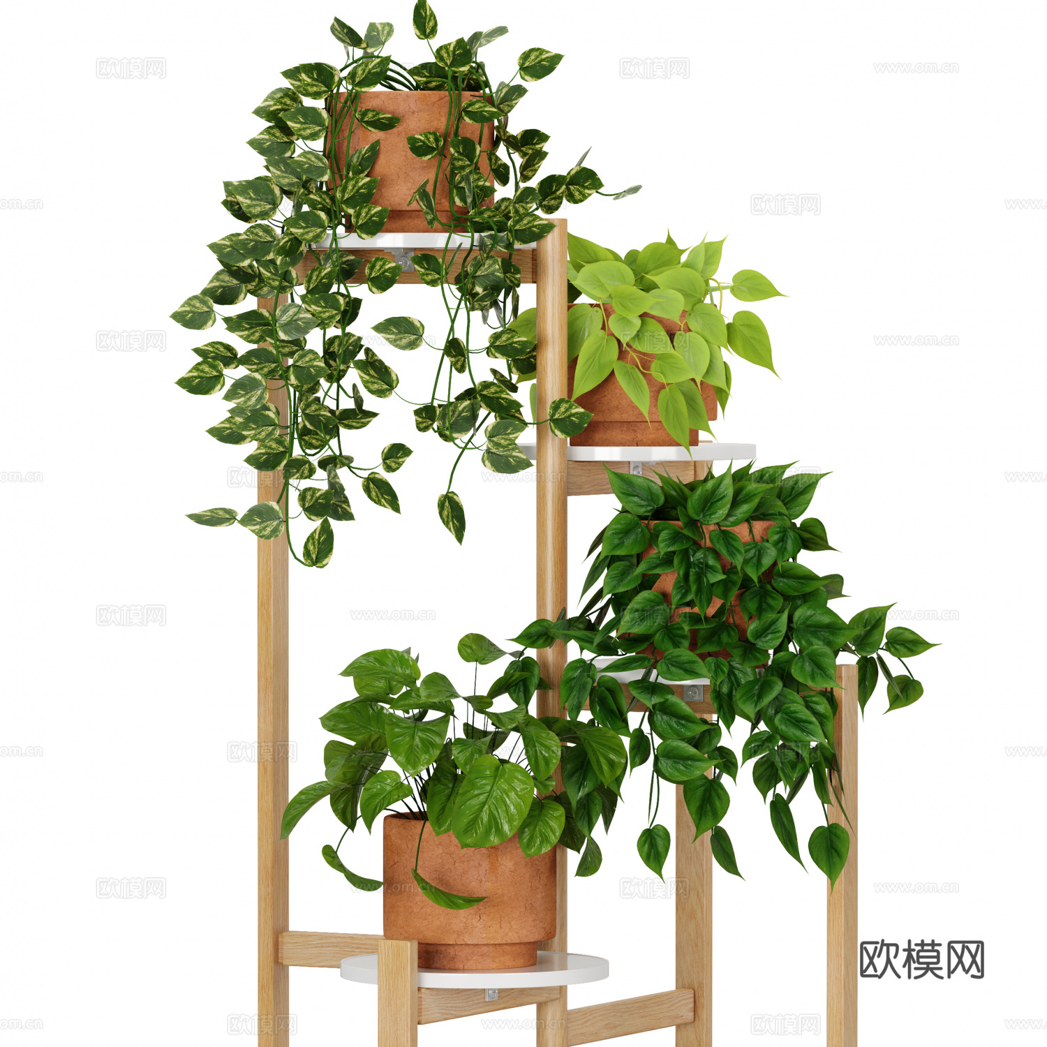 室内植物 盆栽 花架3d模型