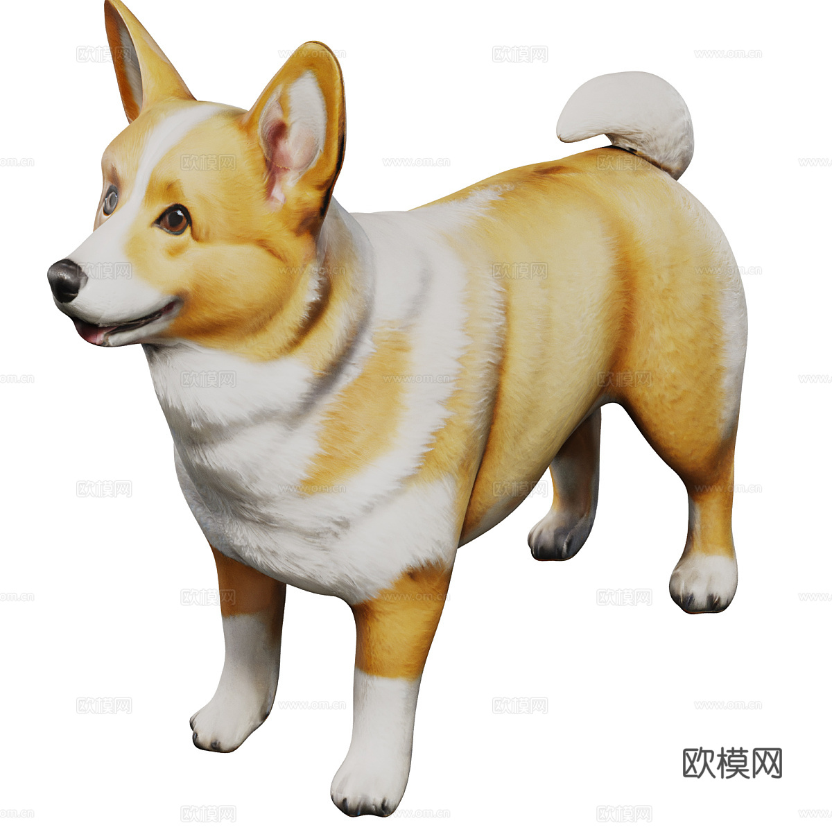 柯基犬3d模型