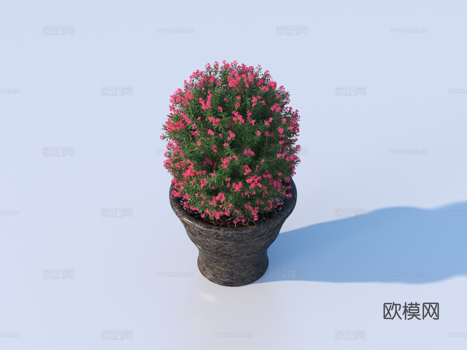 花盆 盆景 绿植 植物3d模型