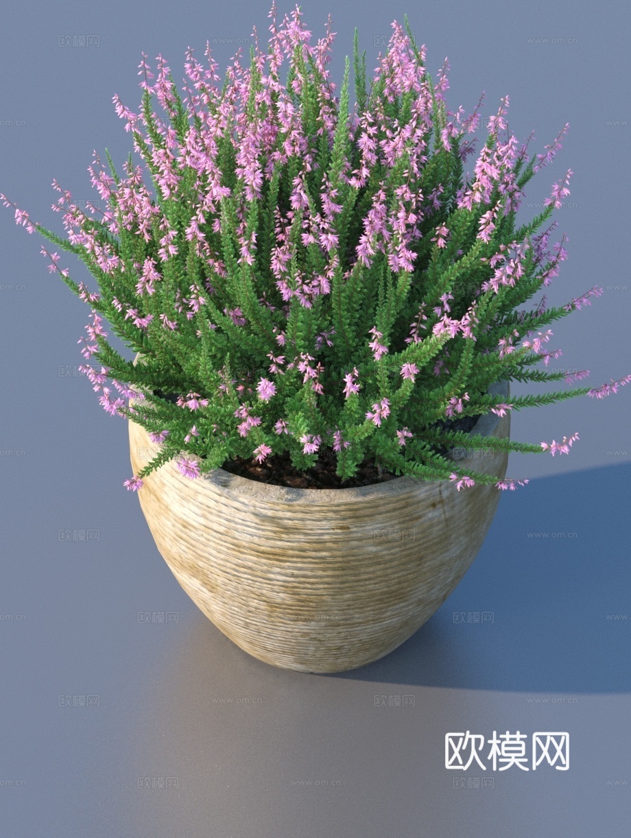 盆景 花盆 绿植 植物3d模型