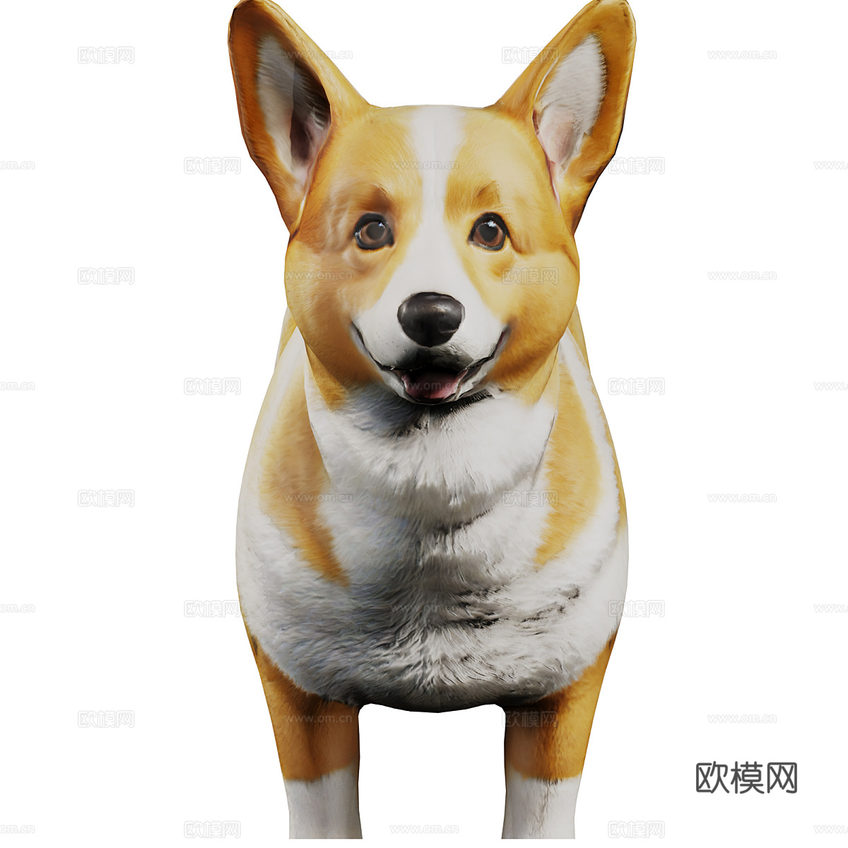 柯基犬3d模型