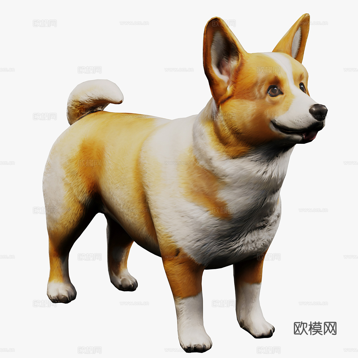 柯基犬3d模型