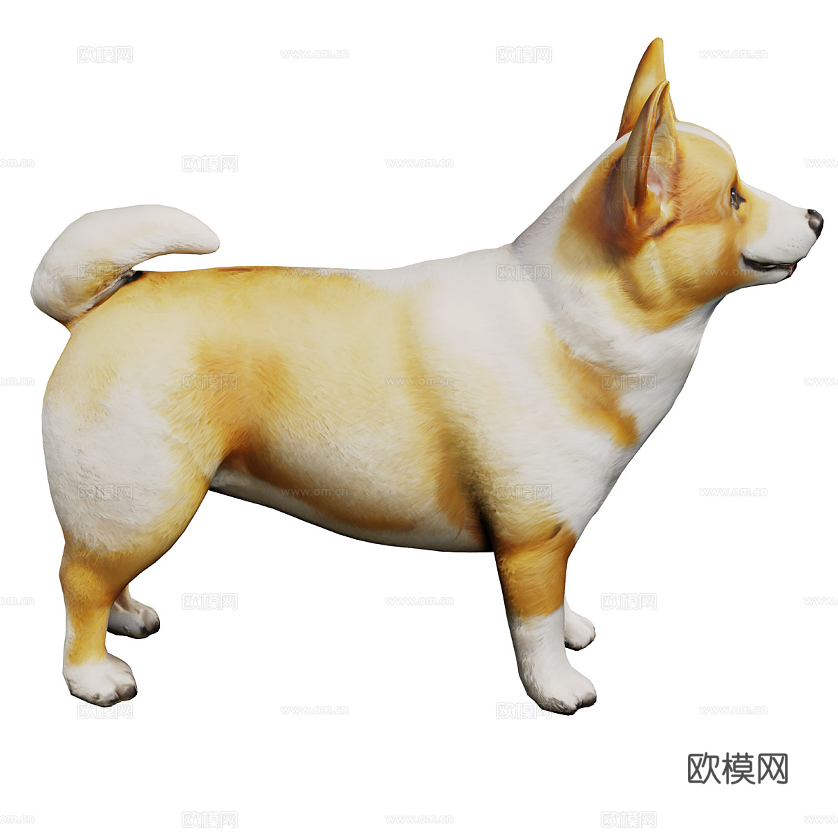 柯基犬3d模型