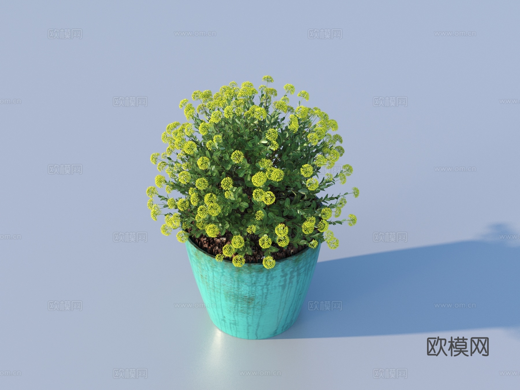 盆景 花盆 绿植 植物3d模型