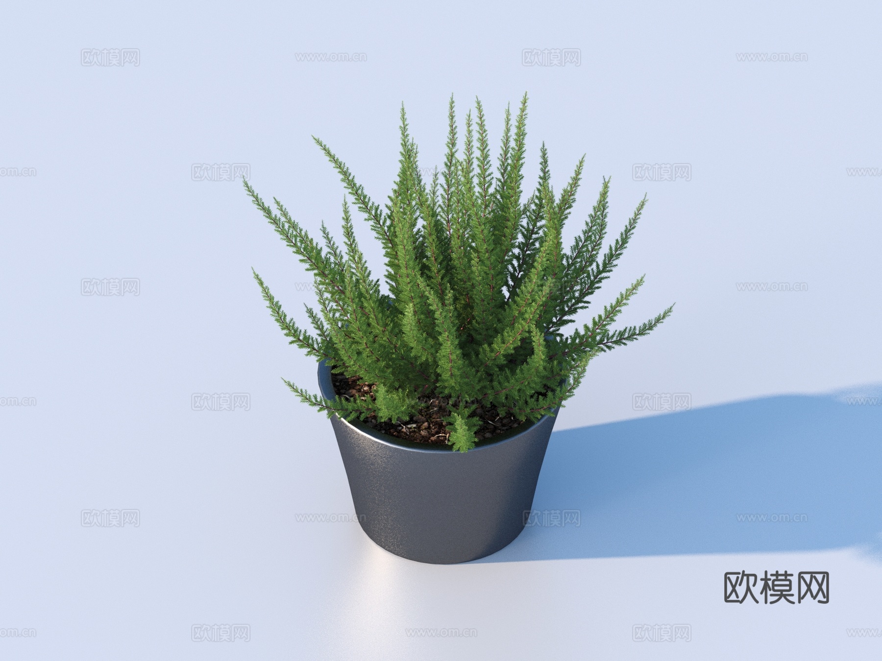 盆景 花盆 绿植 植物3d模型