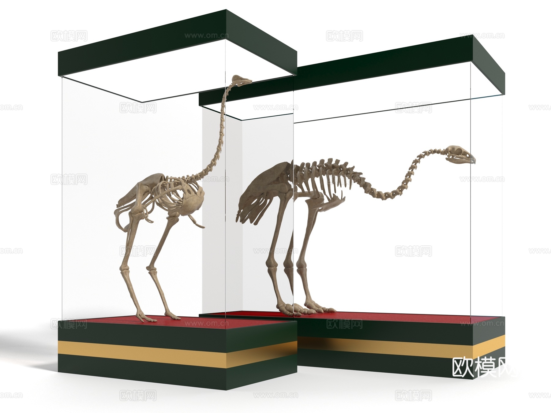 现代骨架雕塑展柜3d模型