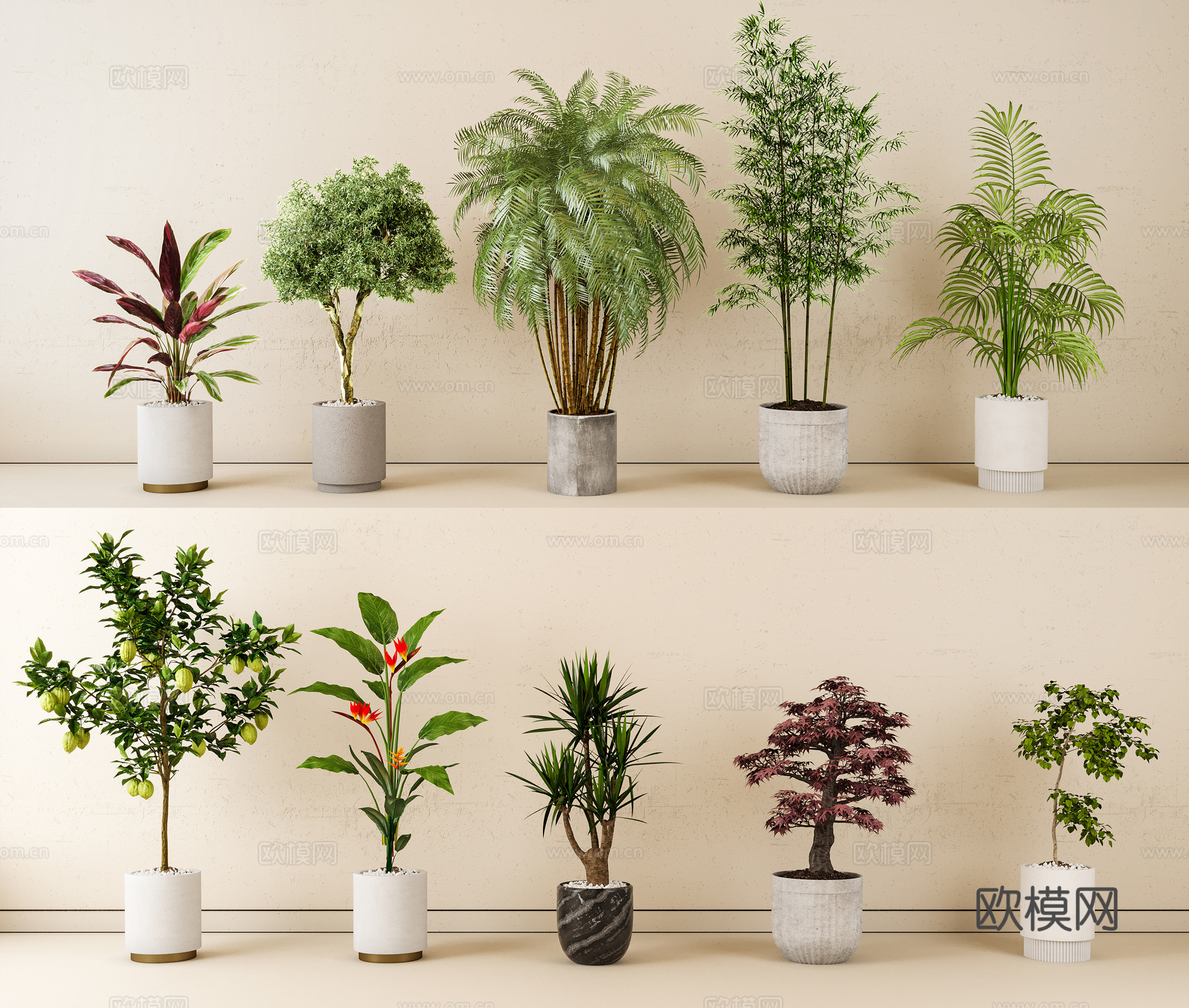 室内盆栽 绿植 家居植物 盆栽3d模型