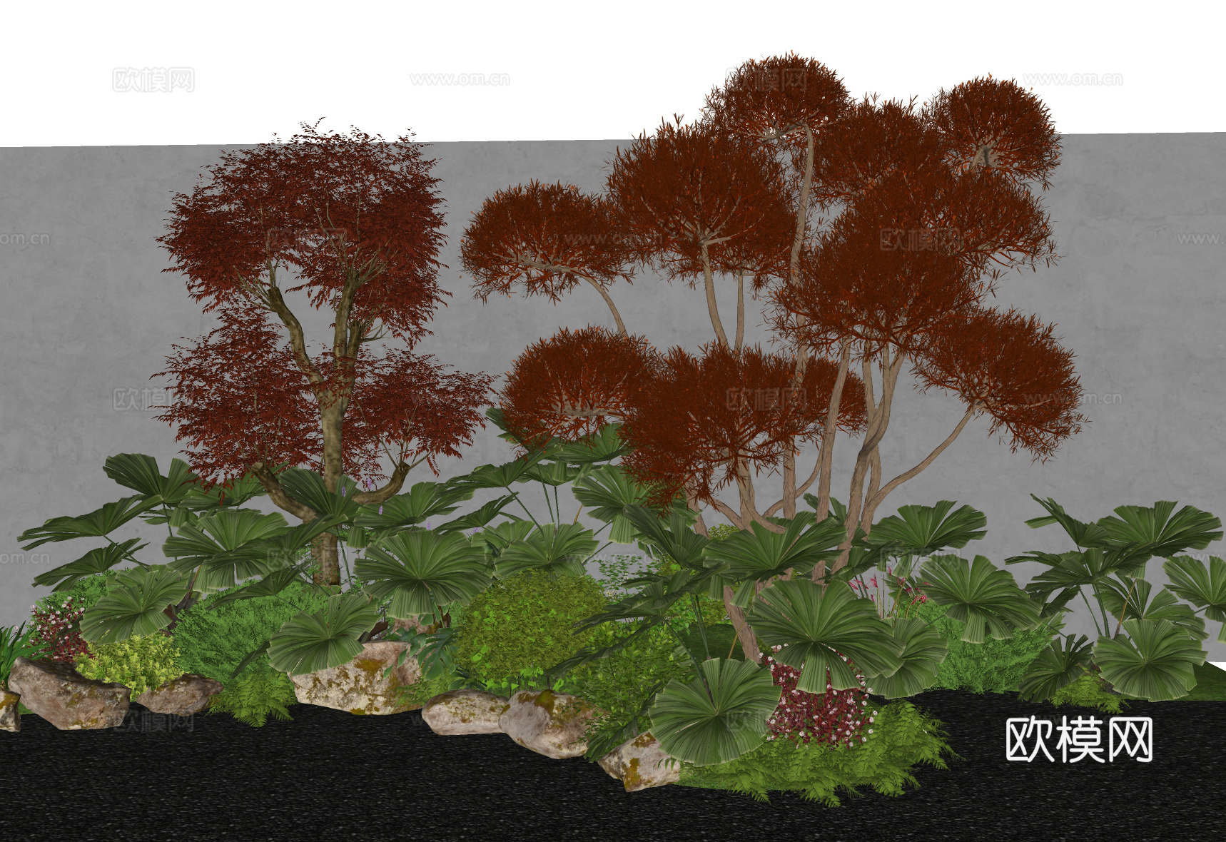 现代植物花境 多头造型树 乔木灌木su模型