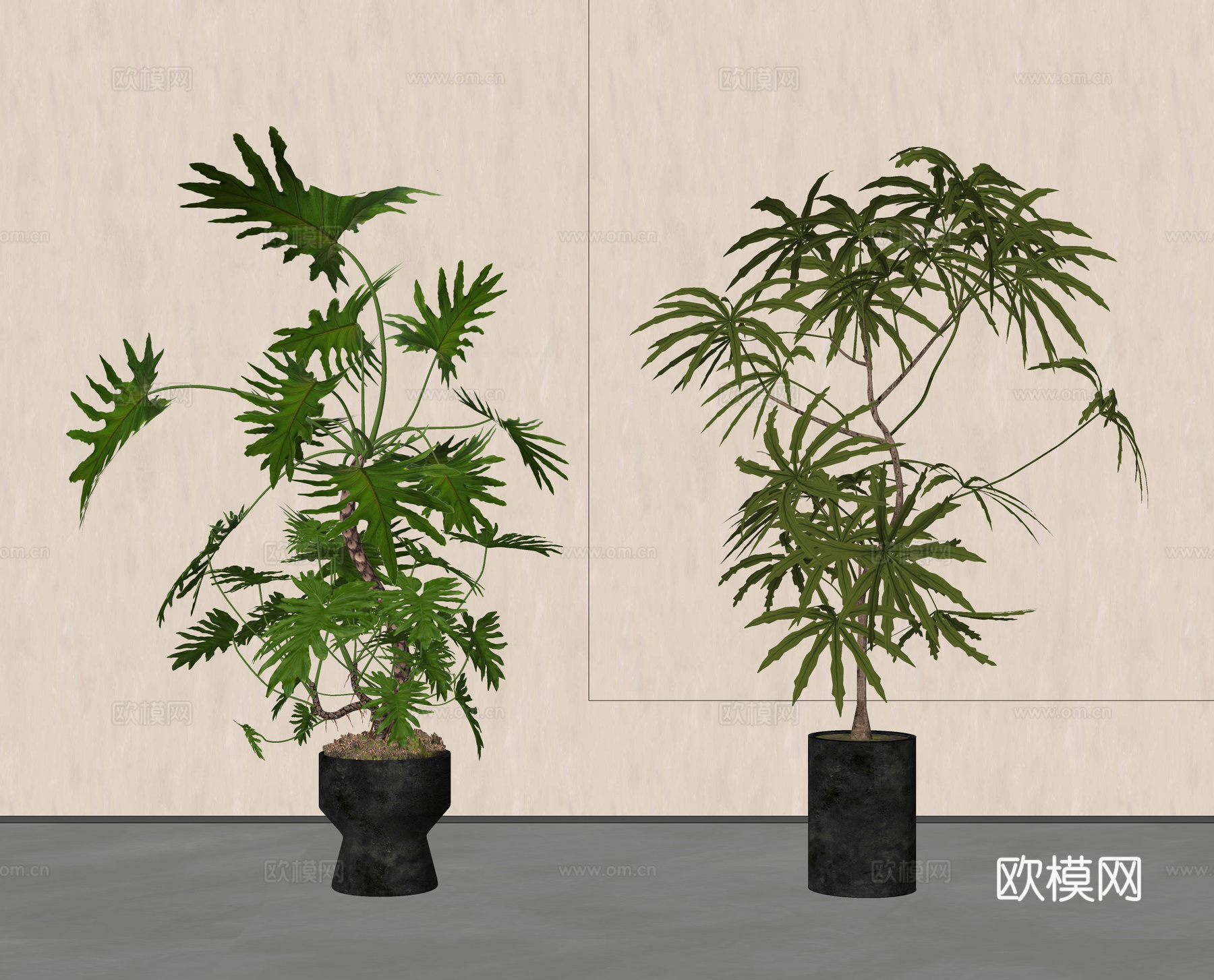 春羽盆栽 绿植盆栽 盆景su模型下载（渲染图1）