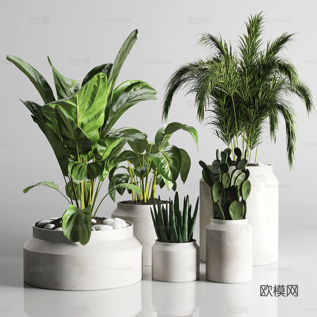 植物盆景 芦荟 虎皮兰3d模型