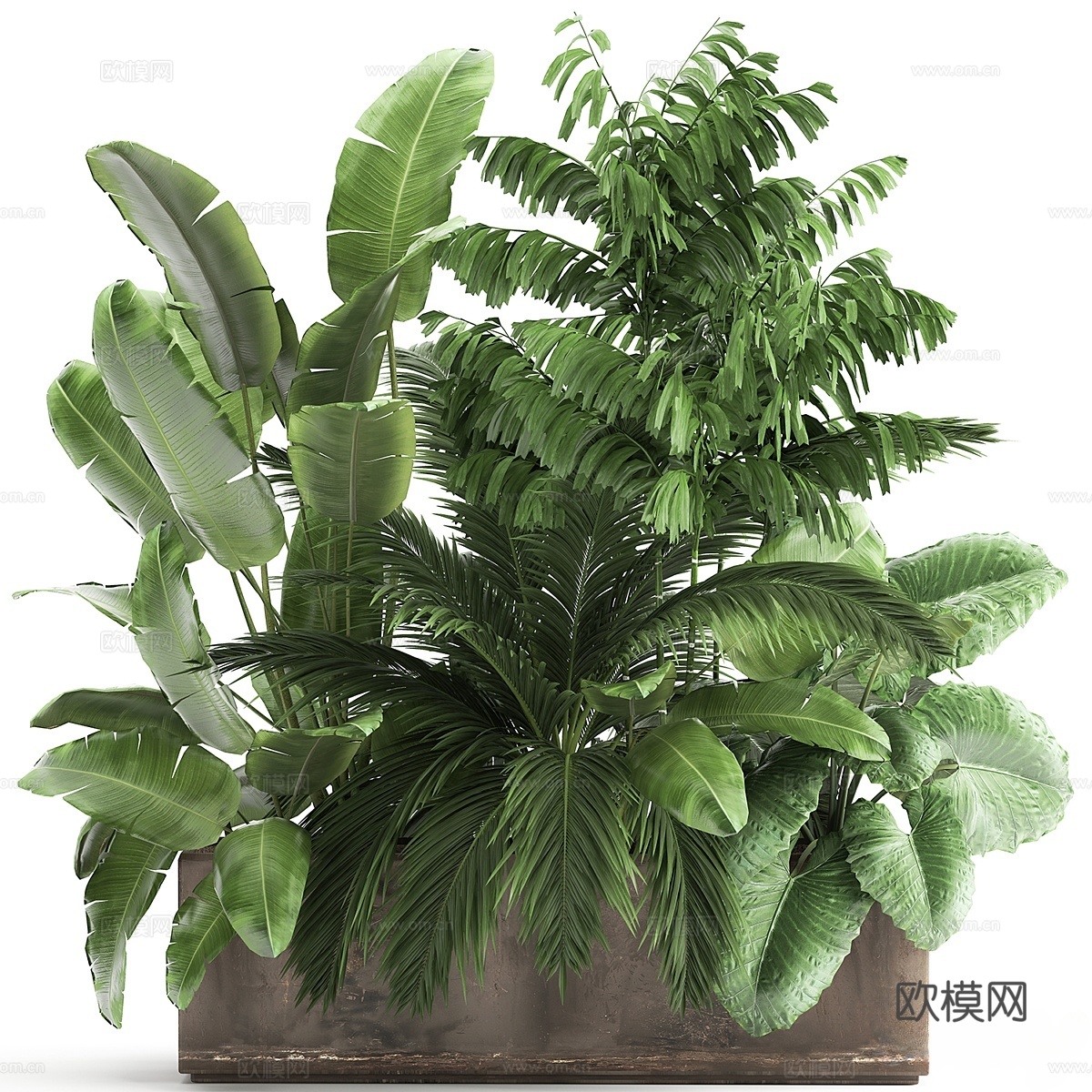 现代树池 花坛 绿植盆栽3d模型