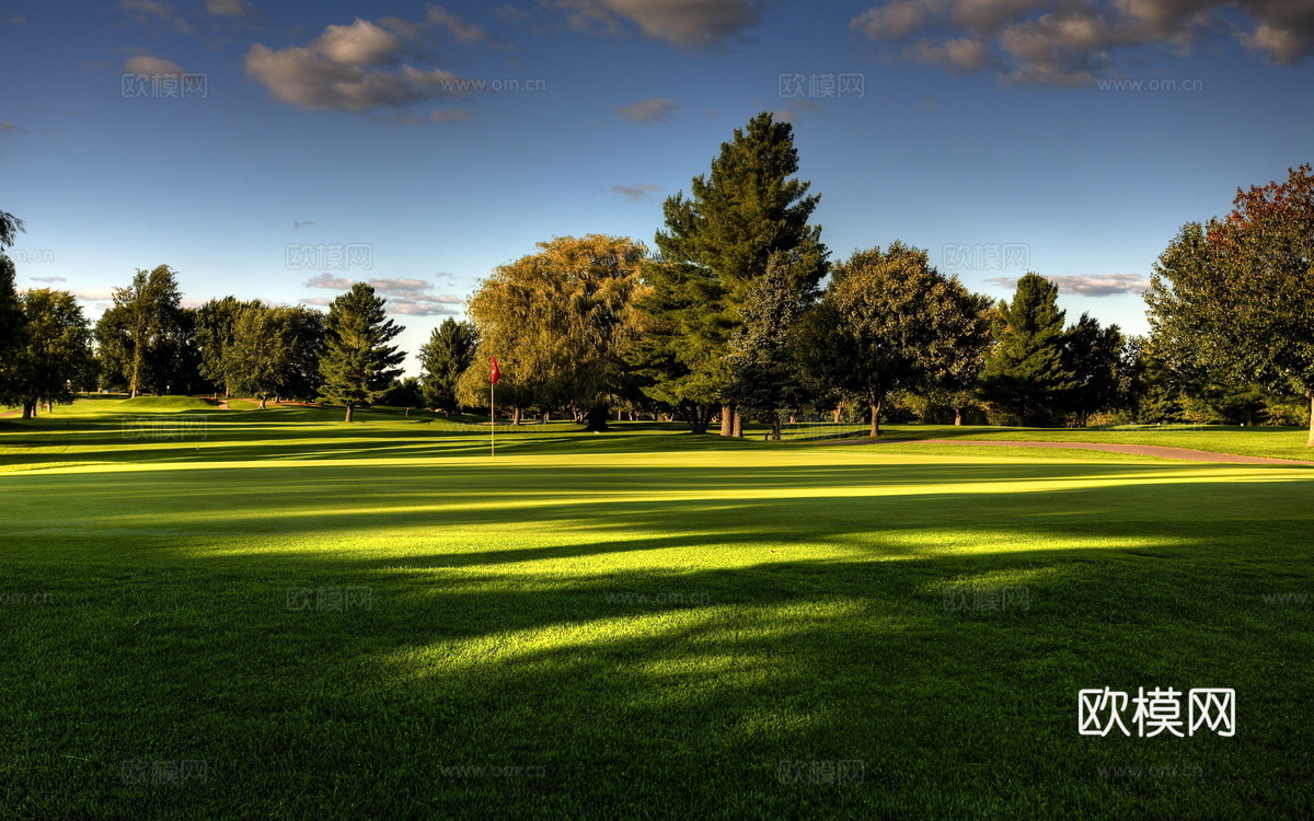 高清白天森林自然风景下载