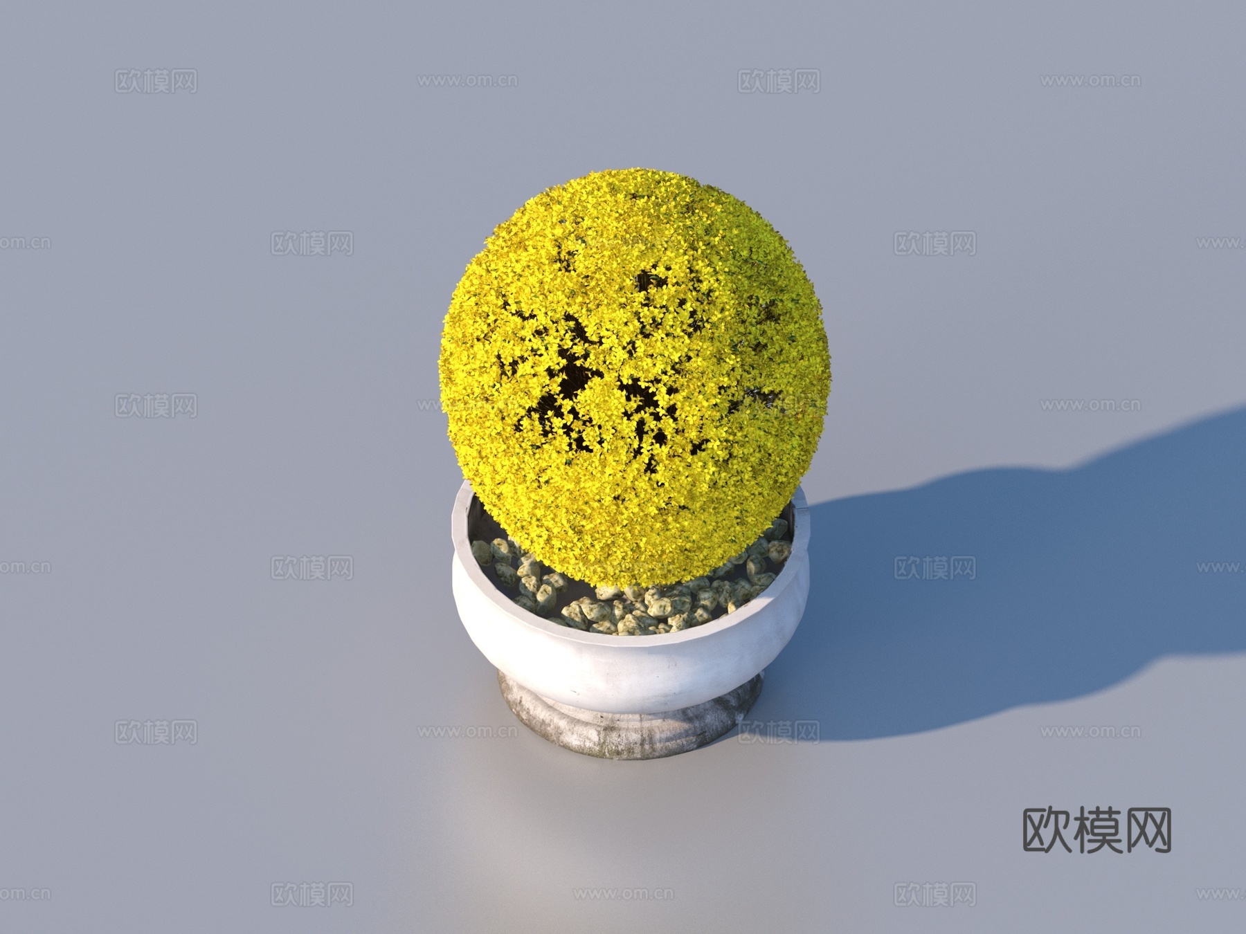 花盆 盆景 绿植 植物3d模型