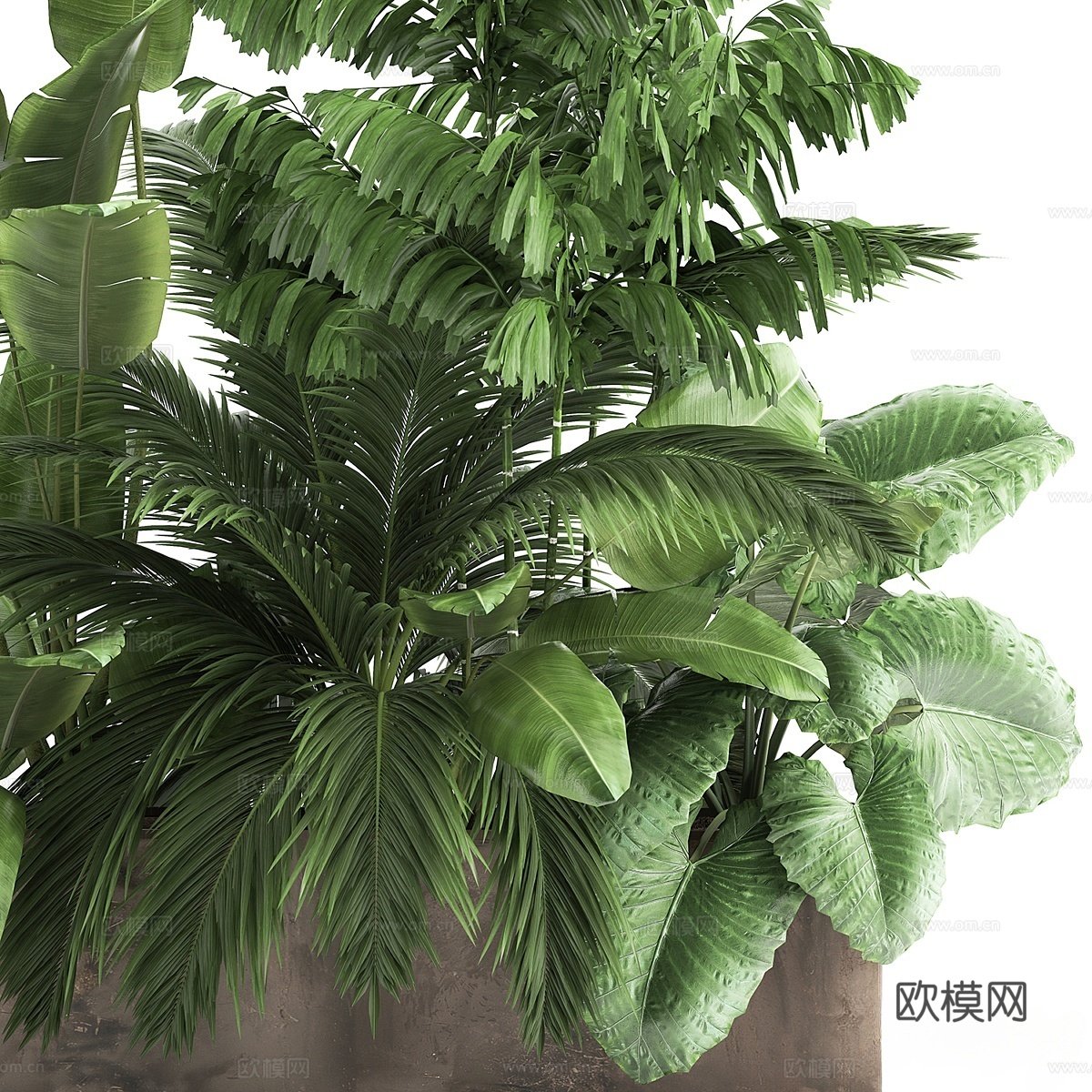 现代树池 花坛 绿植盆栽3d模型