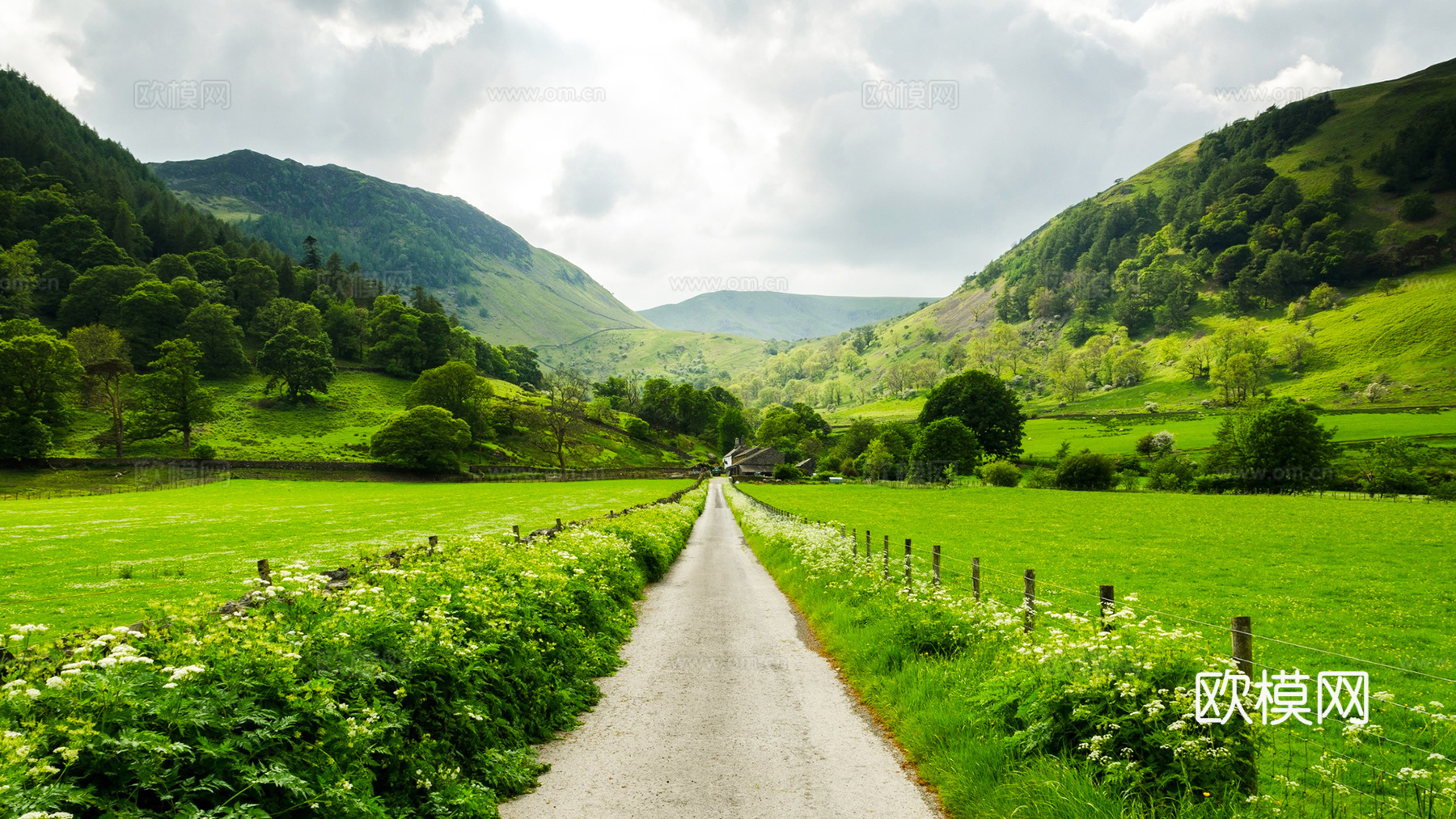 高清白天原野自然风景下载
