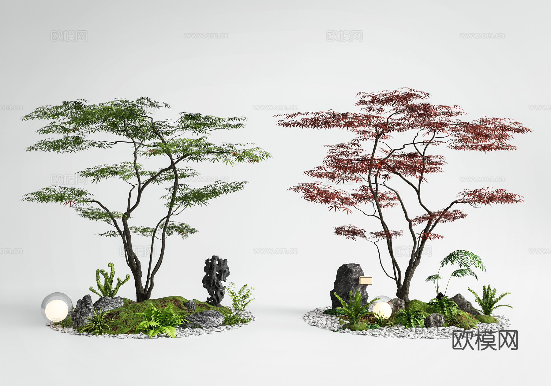 红枫景观树 庭院小品 红枫 鸡爪槭 景观造景3d模型