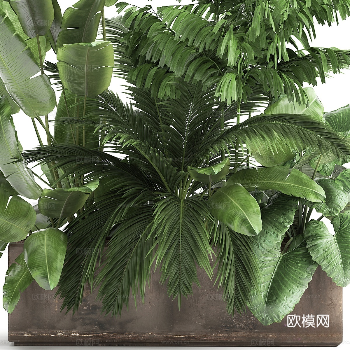 现代树池 花坛 绿植盆栽3d模型