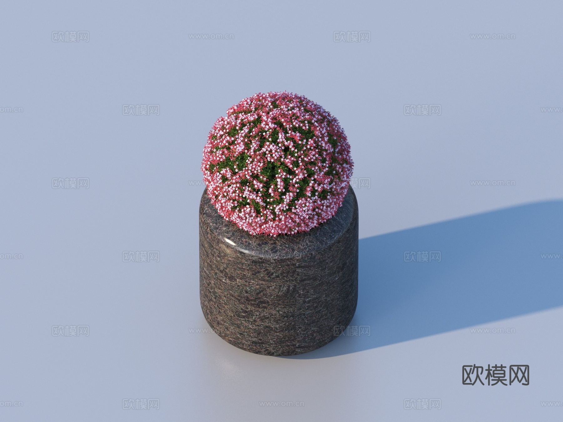 花盆 盆景 绿植 植物3d模型