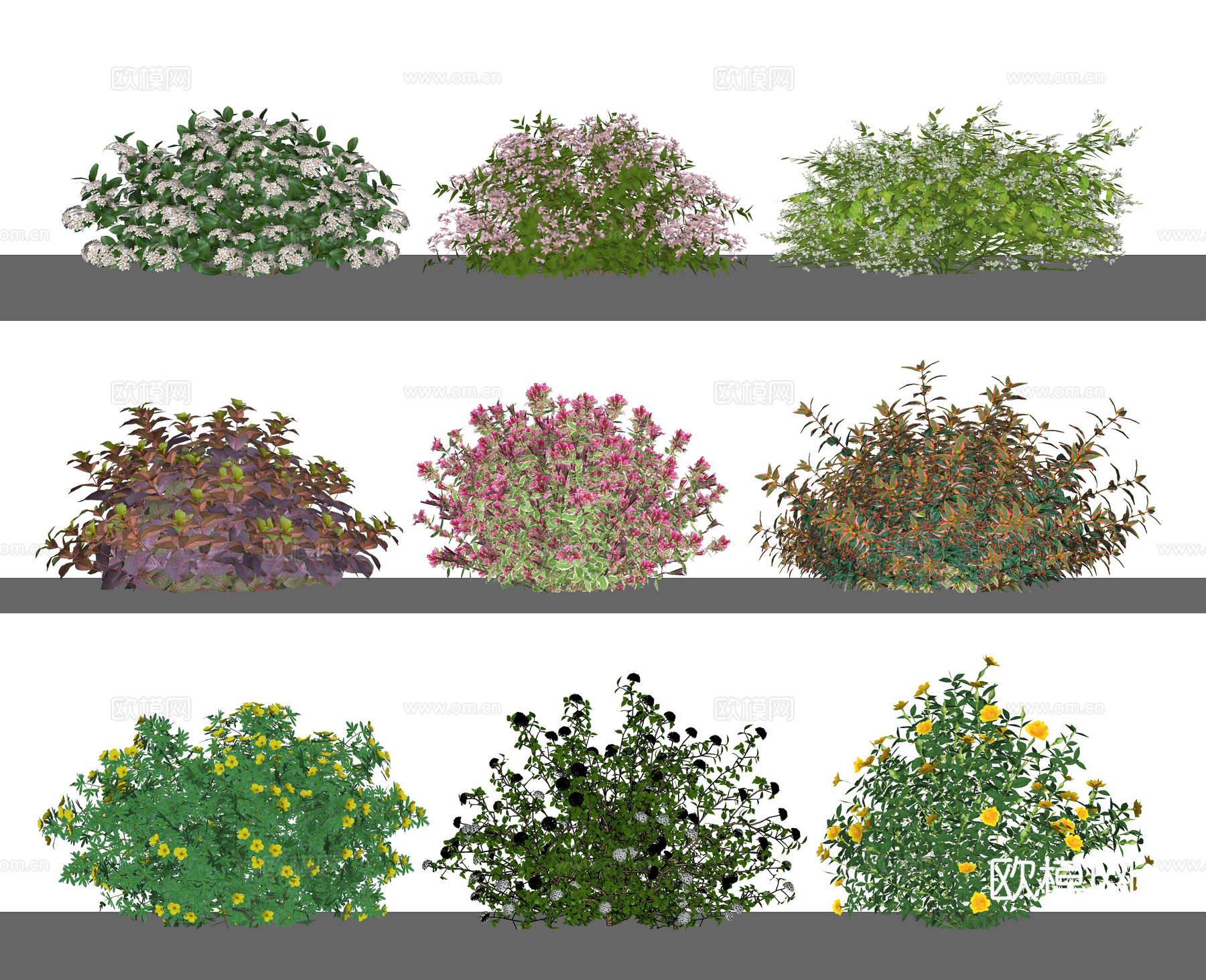 现代灌木球 绿篱 灌木花草su模型