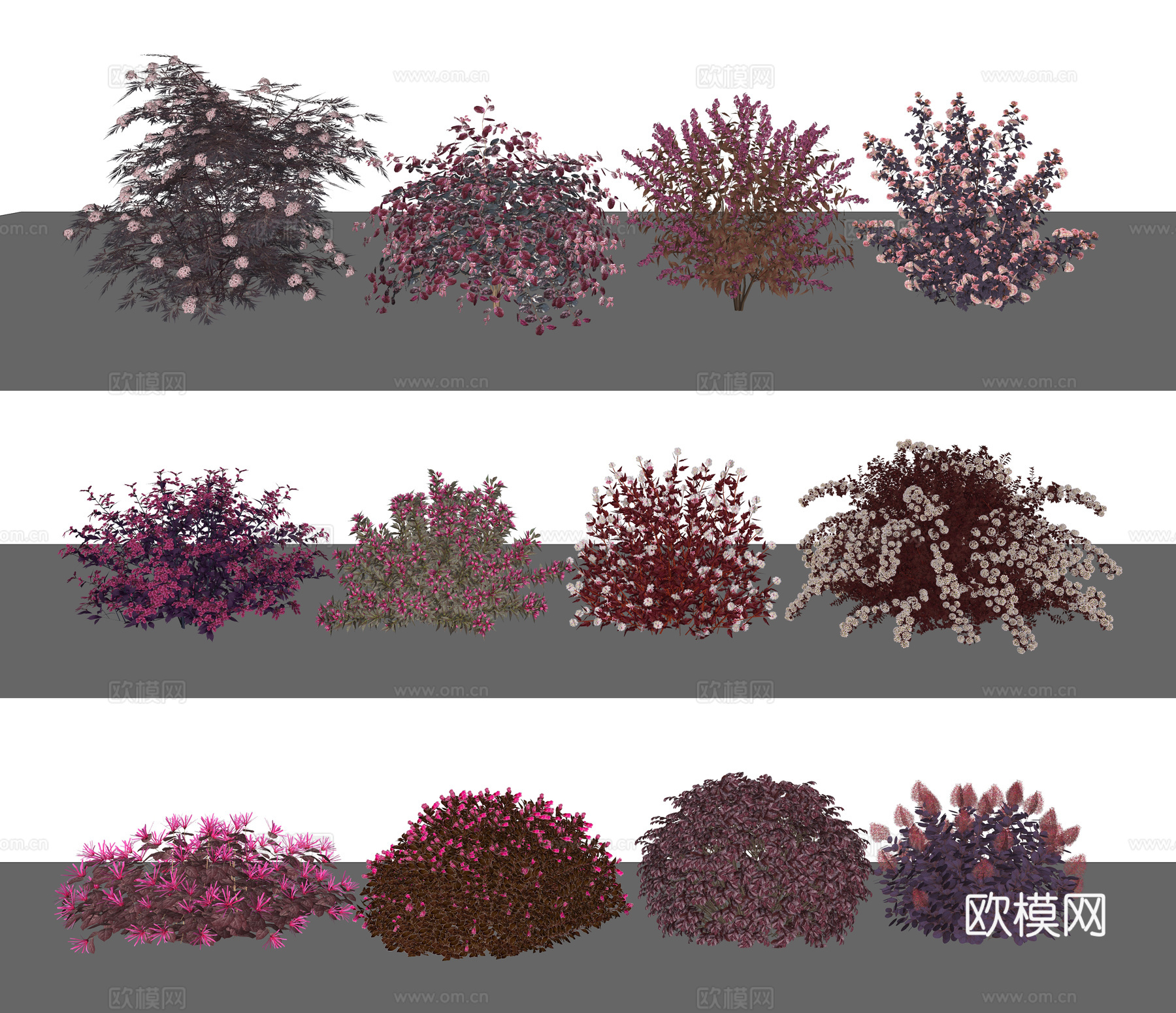 现代灌木球 灌木花草 红花檵木su模型