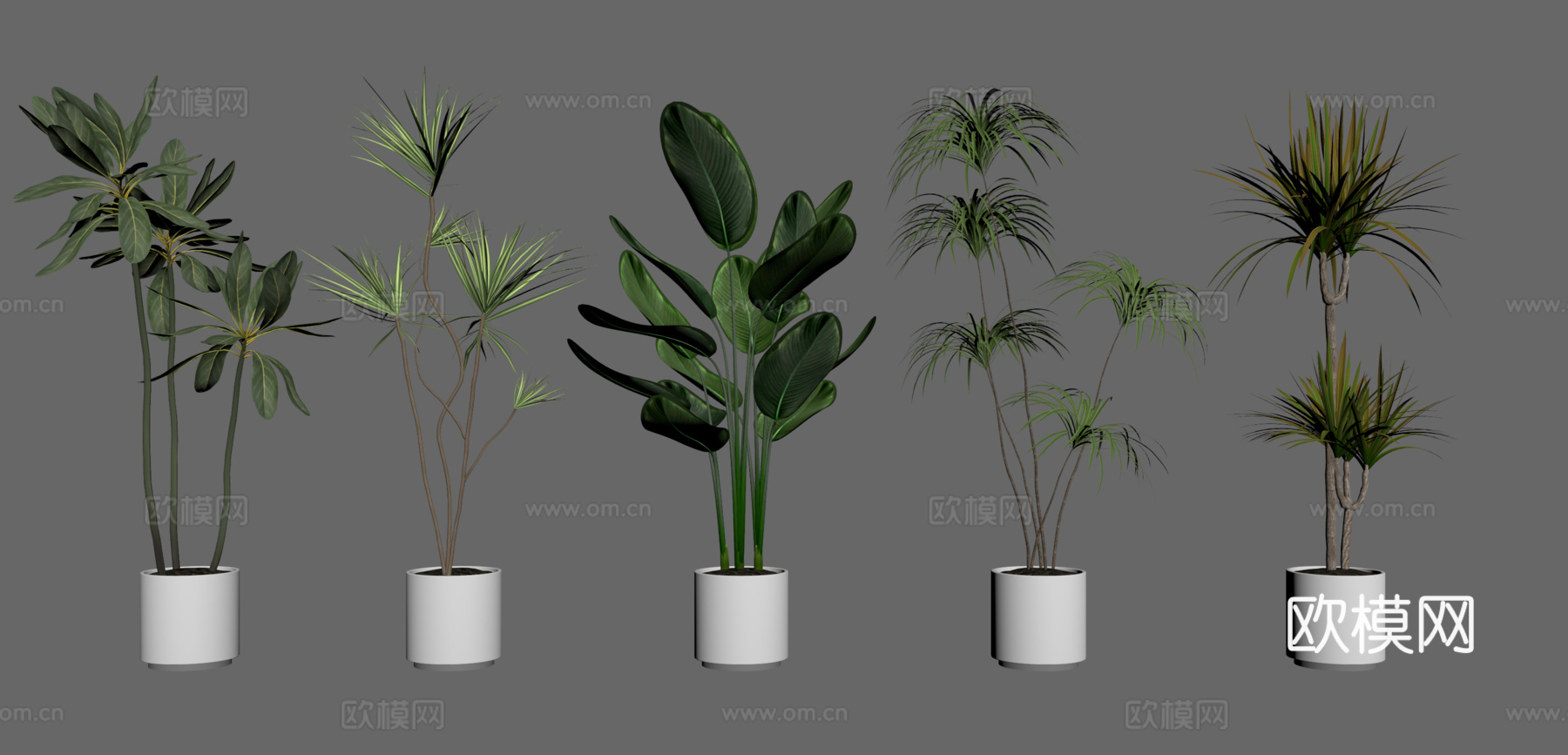 现代盆栽 绿植花草3d模型