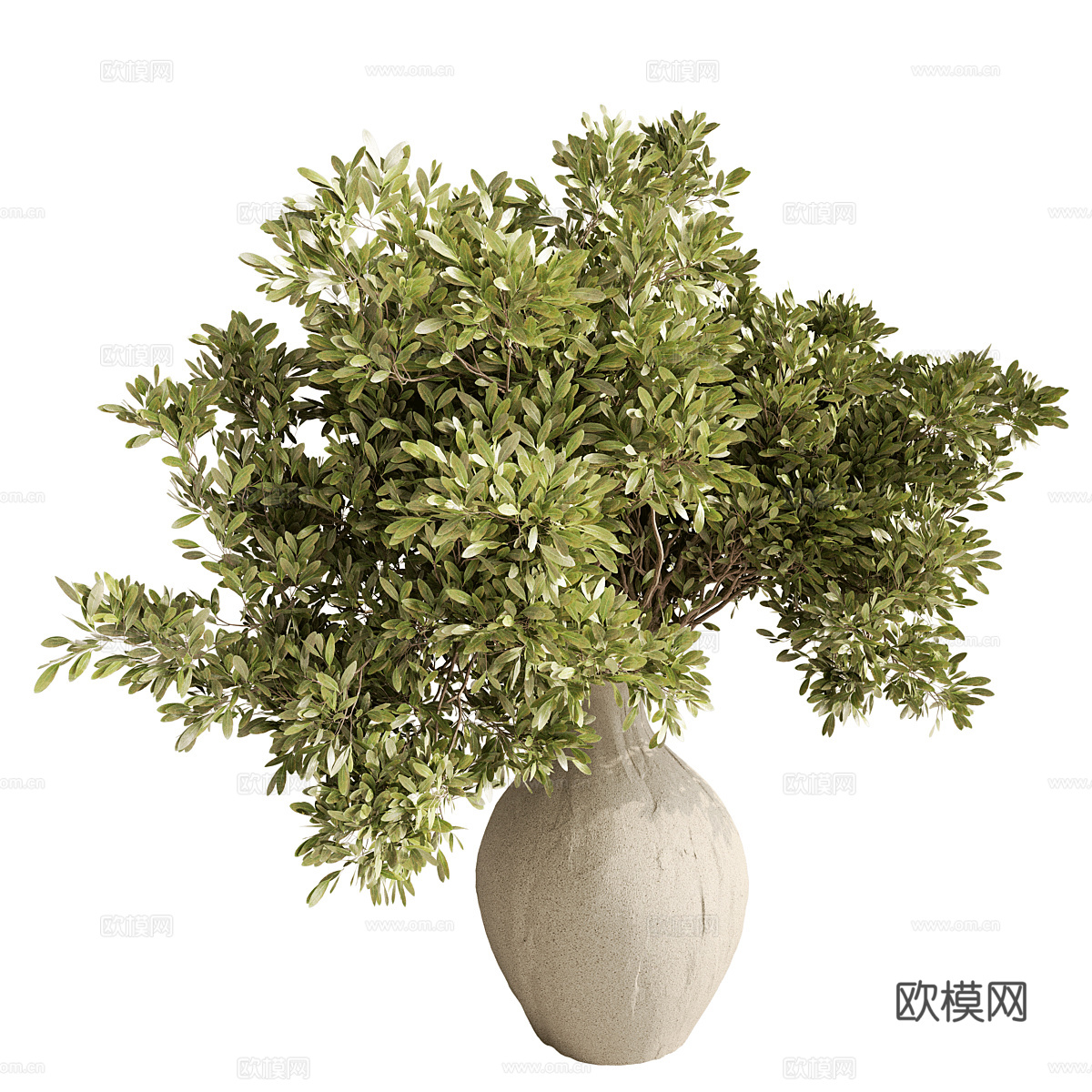 现代花瓶 花艺 绿植3d模型