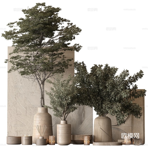 绿植盆景 盆栽3d模型下载(渲染图1)