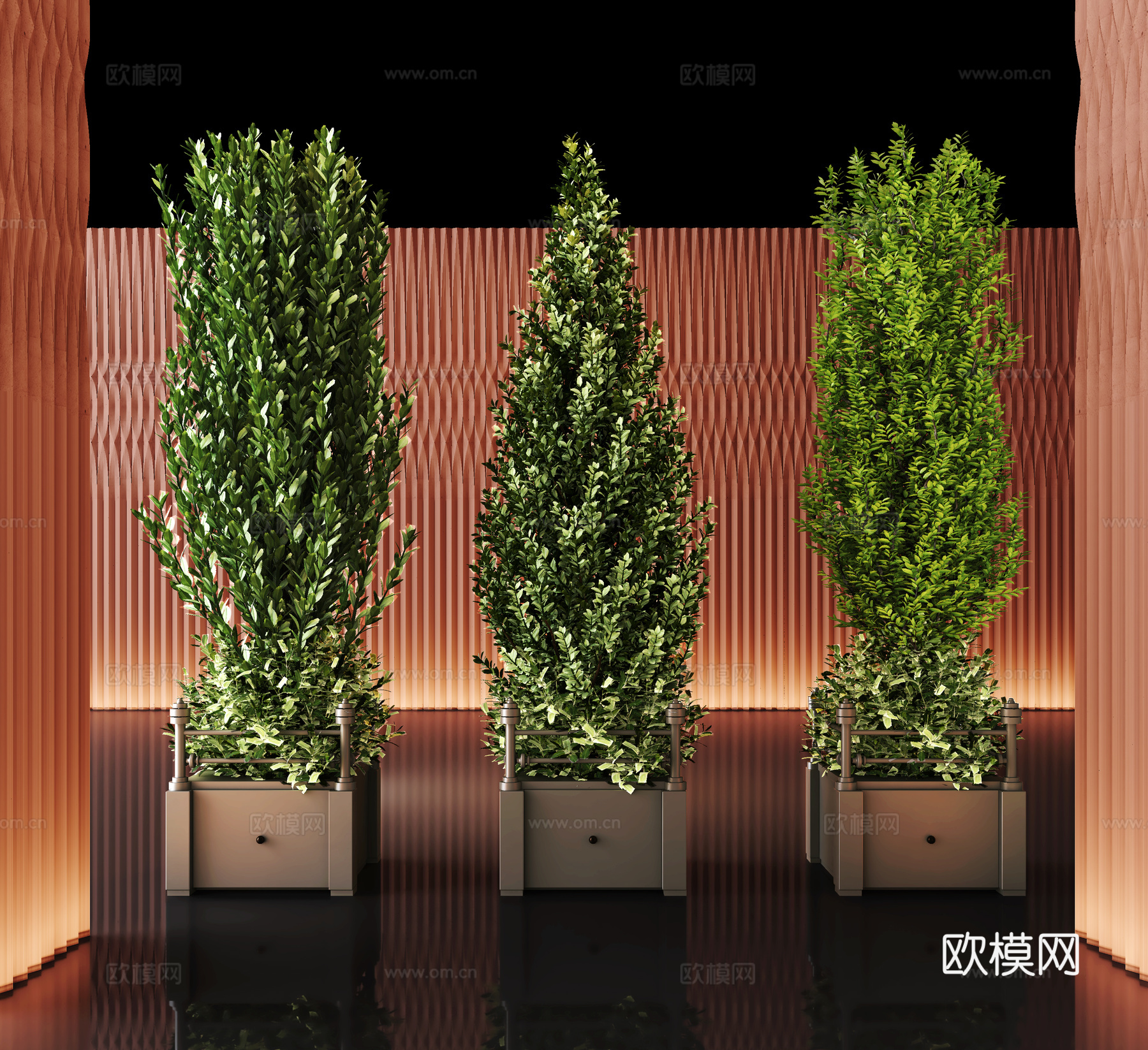 绿植 植物花盆 盆栽3d模型