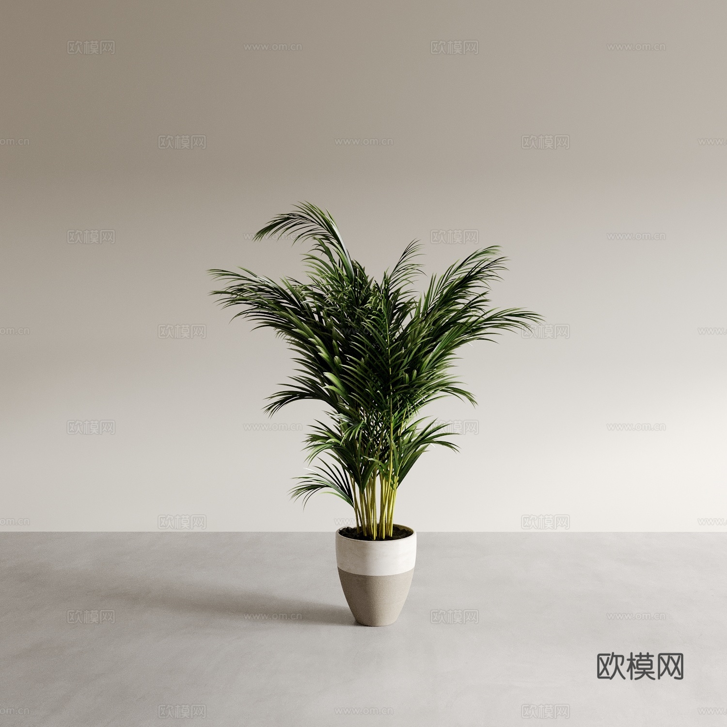 盆景盆栽 室内绿植 植物摆件3d模型