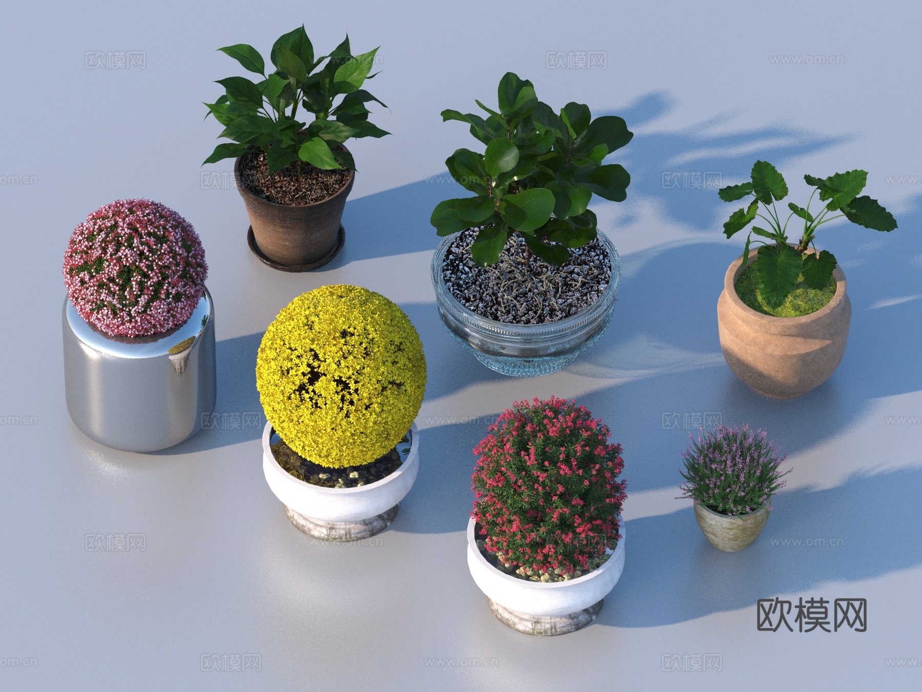 花盆 盆栽 绿植 植物3d模型