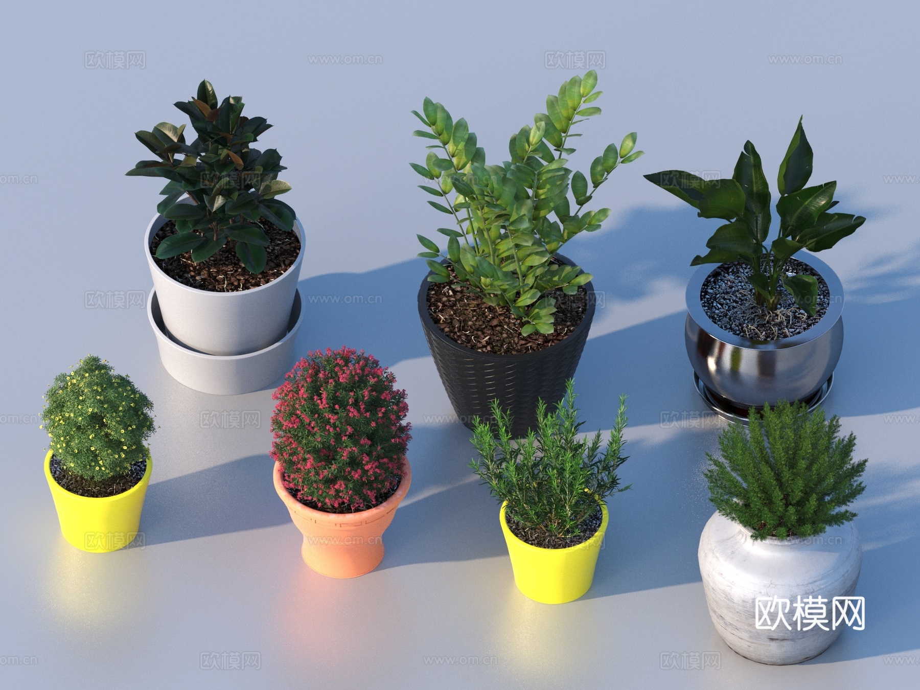 花盆 盆栽 绿植 植物3d模型