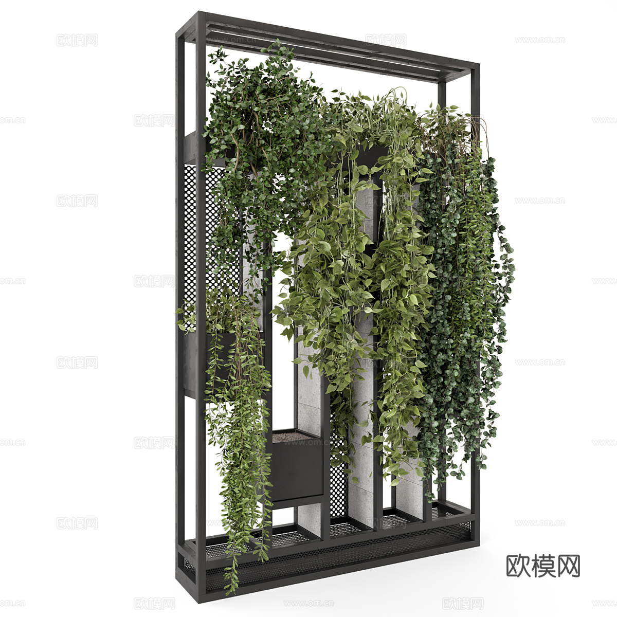 现代植物墙 植物架3d模型