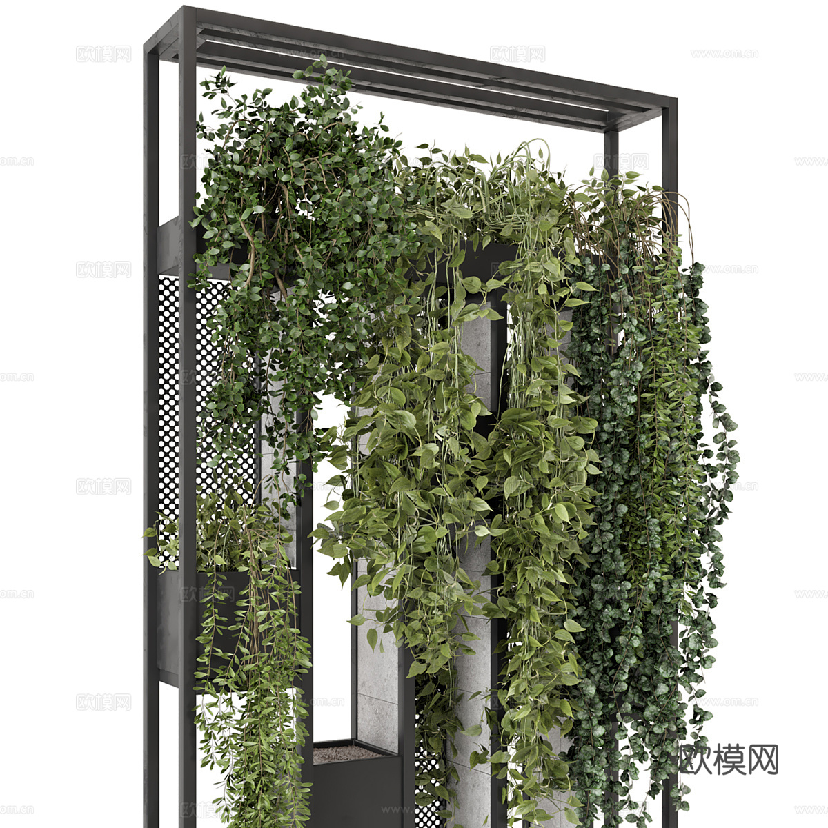 现代植物墙 植物架3d模型