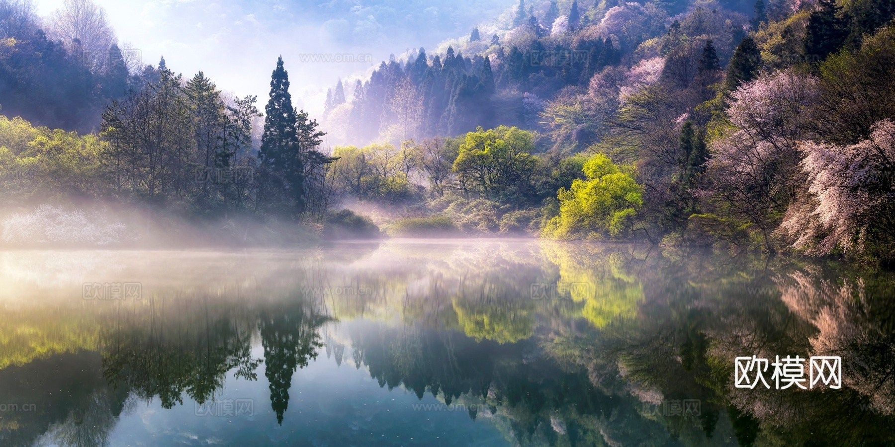 自然树林 雾气弥漫水景下载