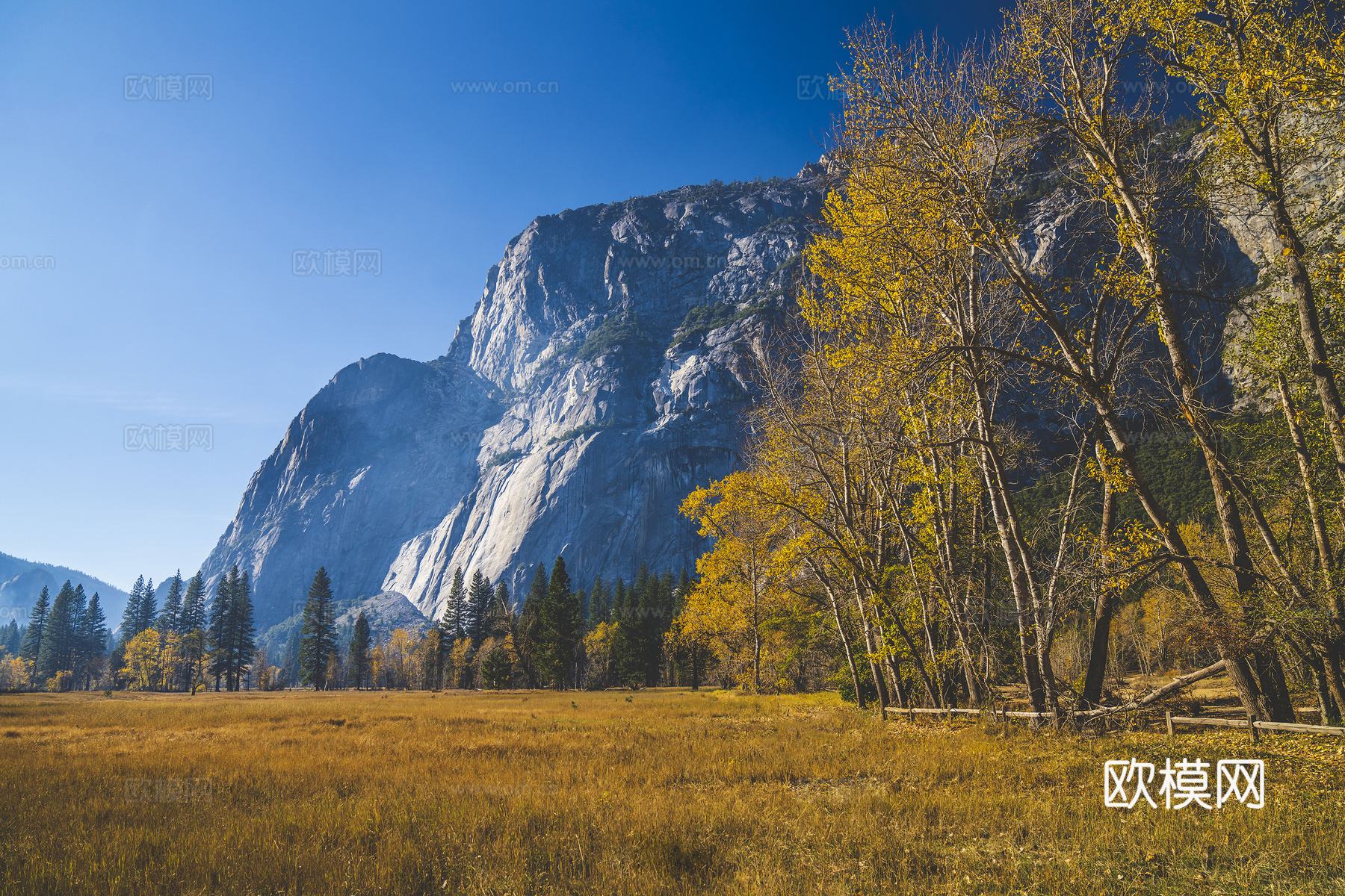 白天户外自然风景下载