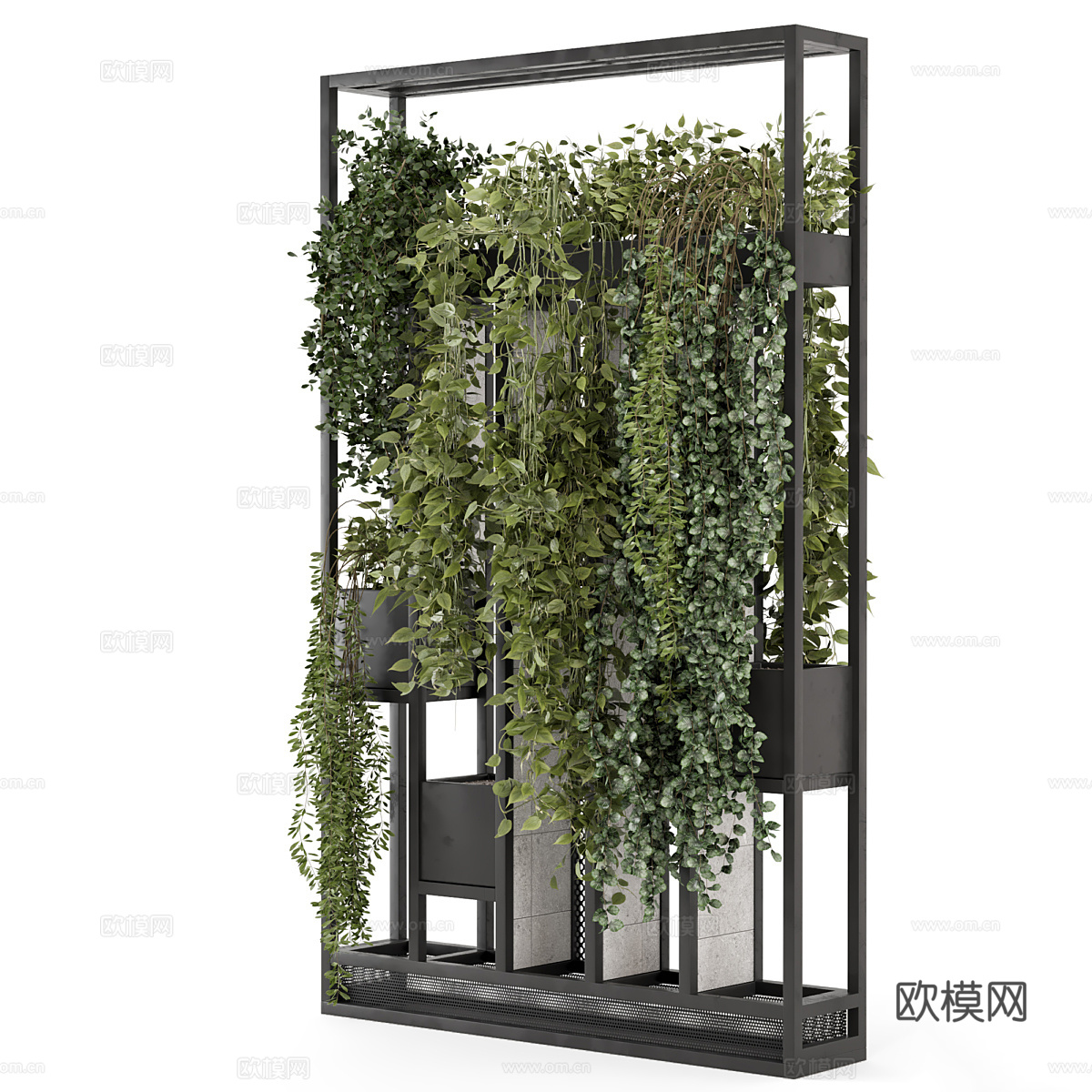 现代植物墙 植物架3d模型