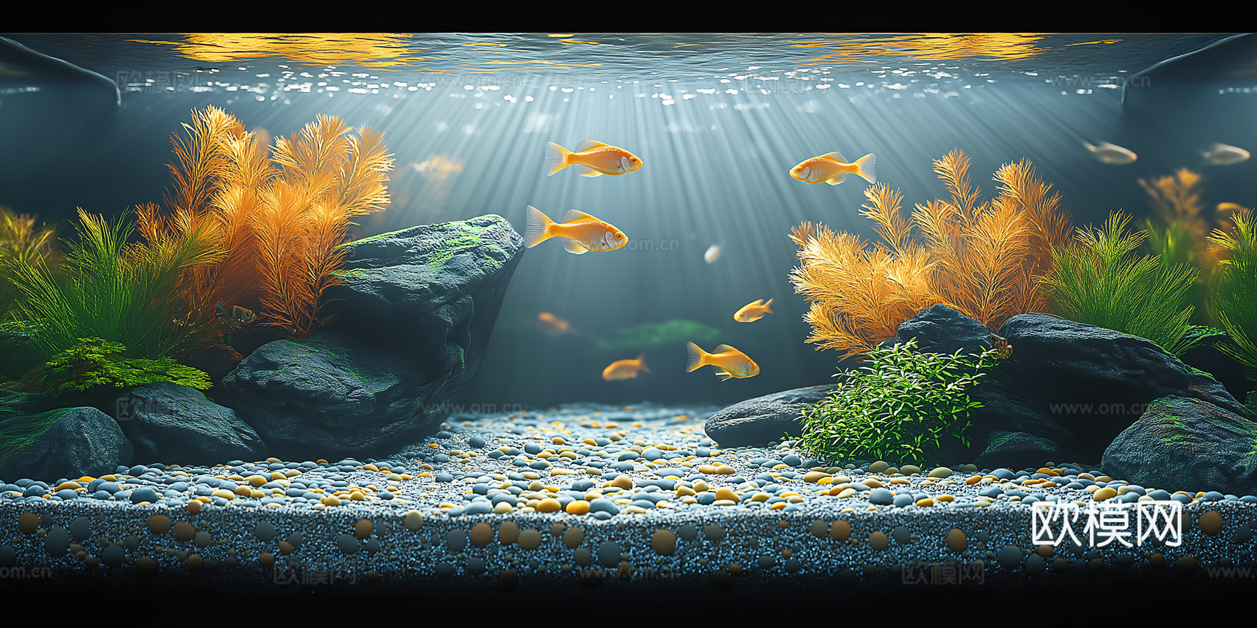 高清鱼缸贴图下载