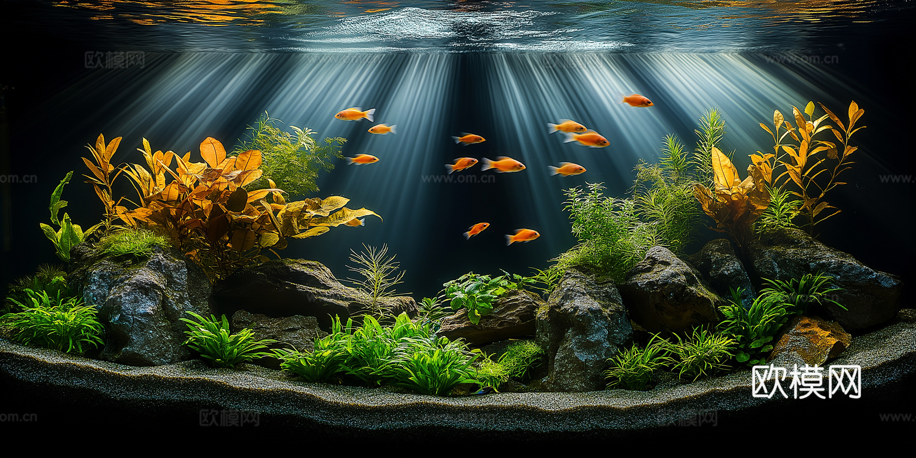 高清鱼缸贴图下载