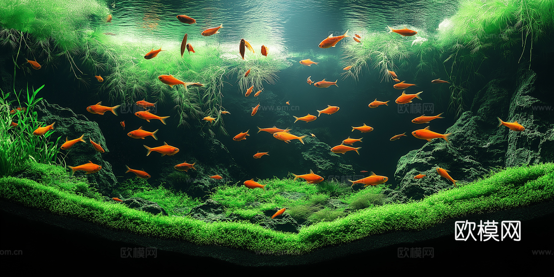 高清鱼缸贴图下载