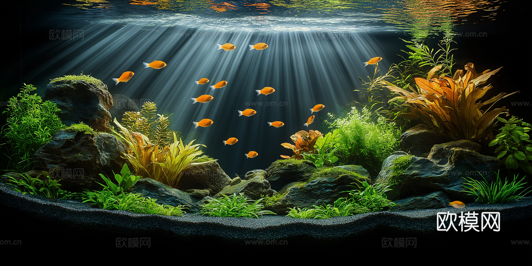 高清鱼缸贴图下载